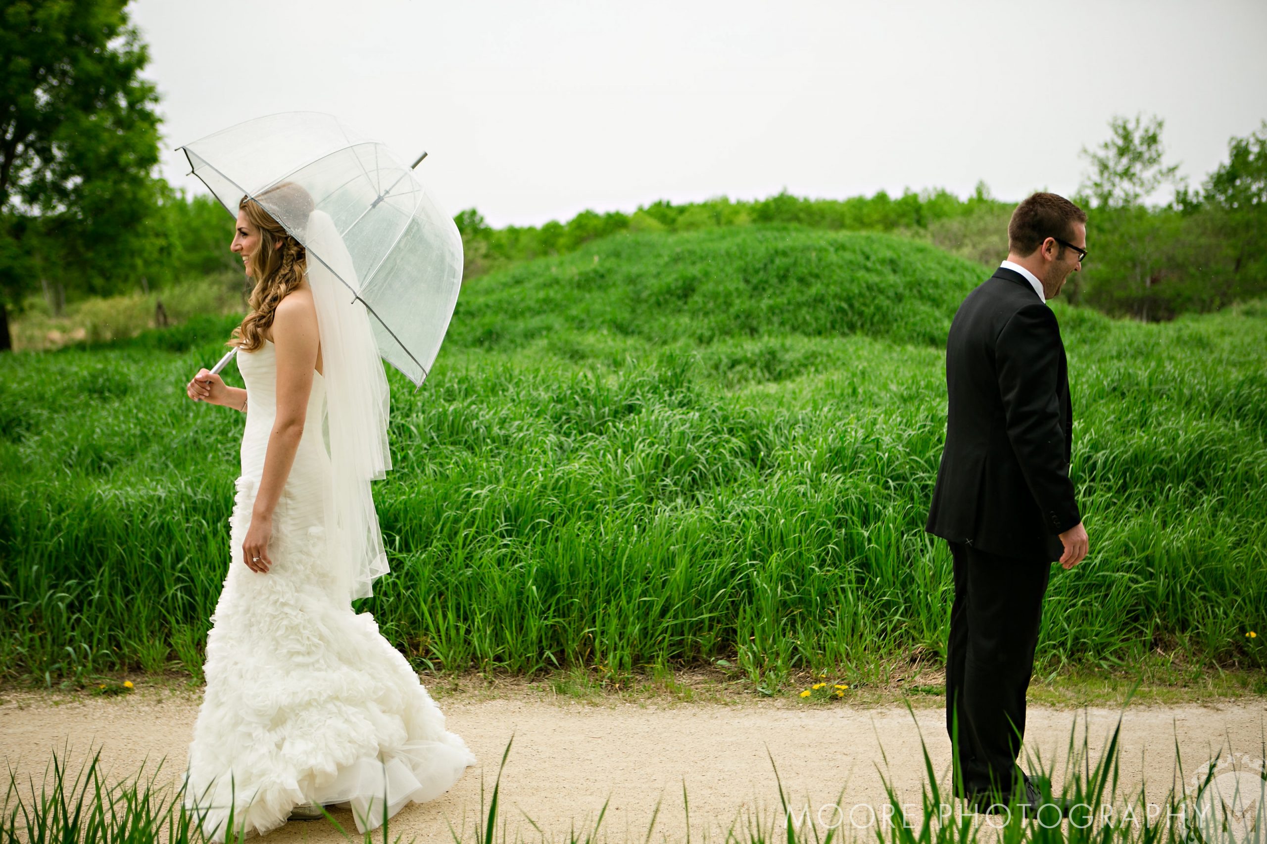 Wedding Dress - Wedding