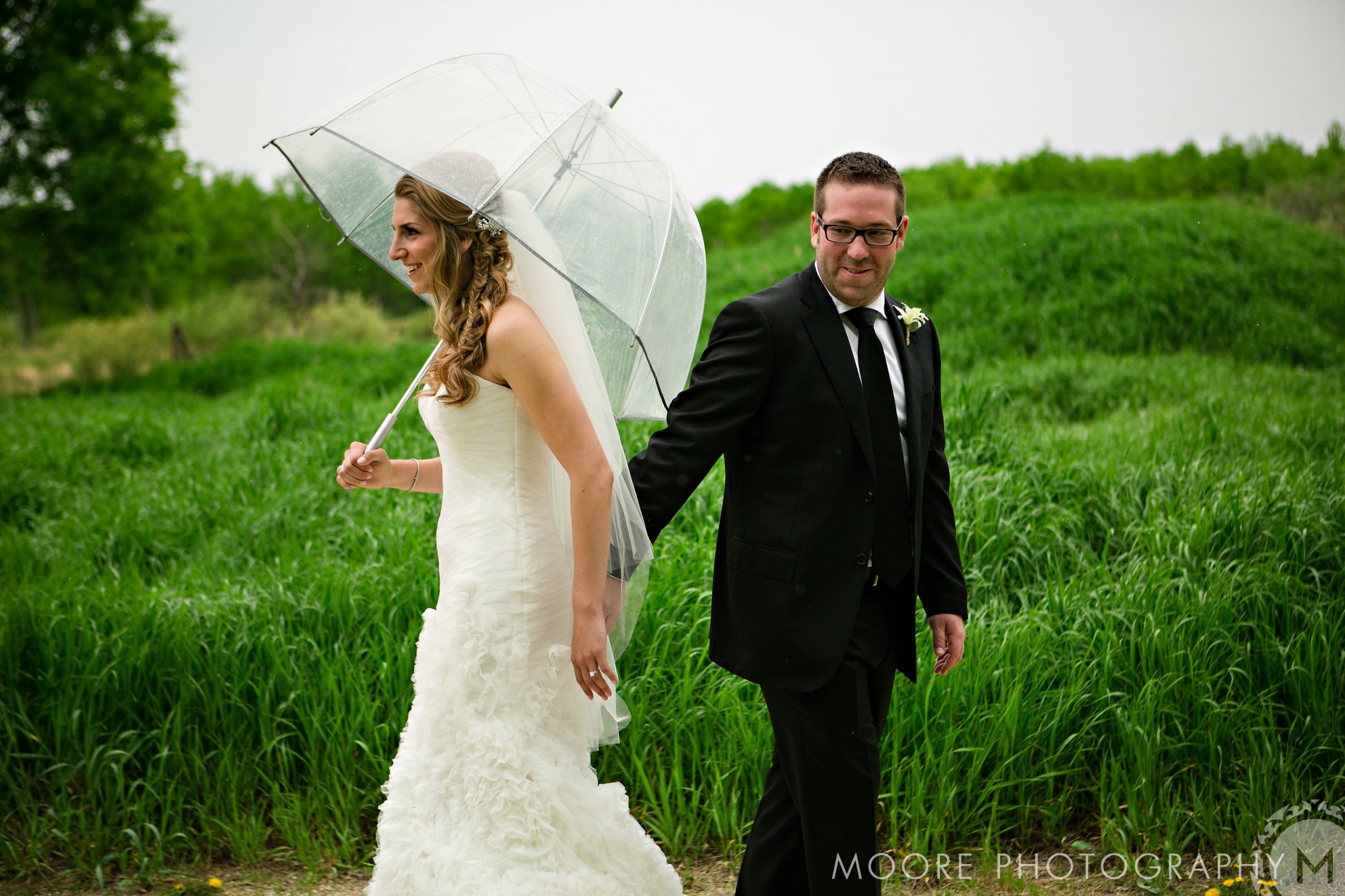 Wedding Dress - Wedding