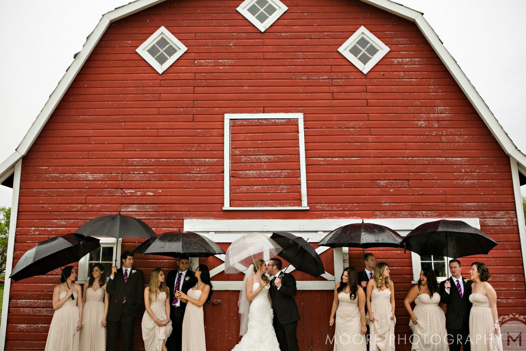 Rainy wedding party poses with umbrellas in front of a red barn in Winnipeg.