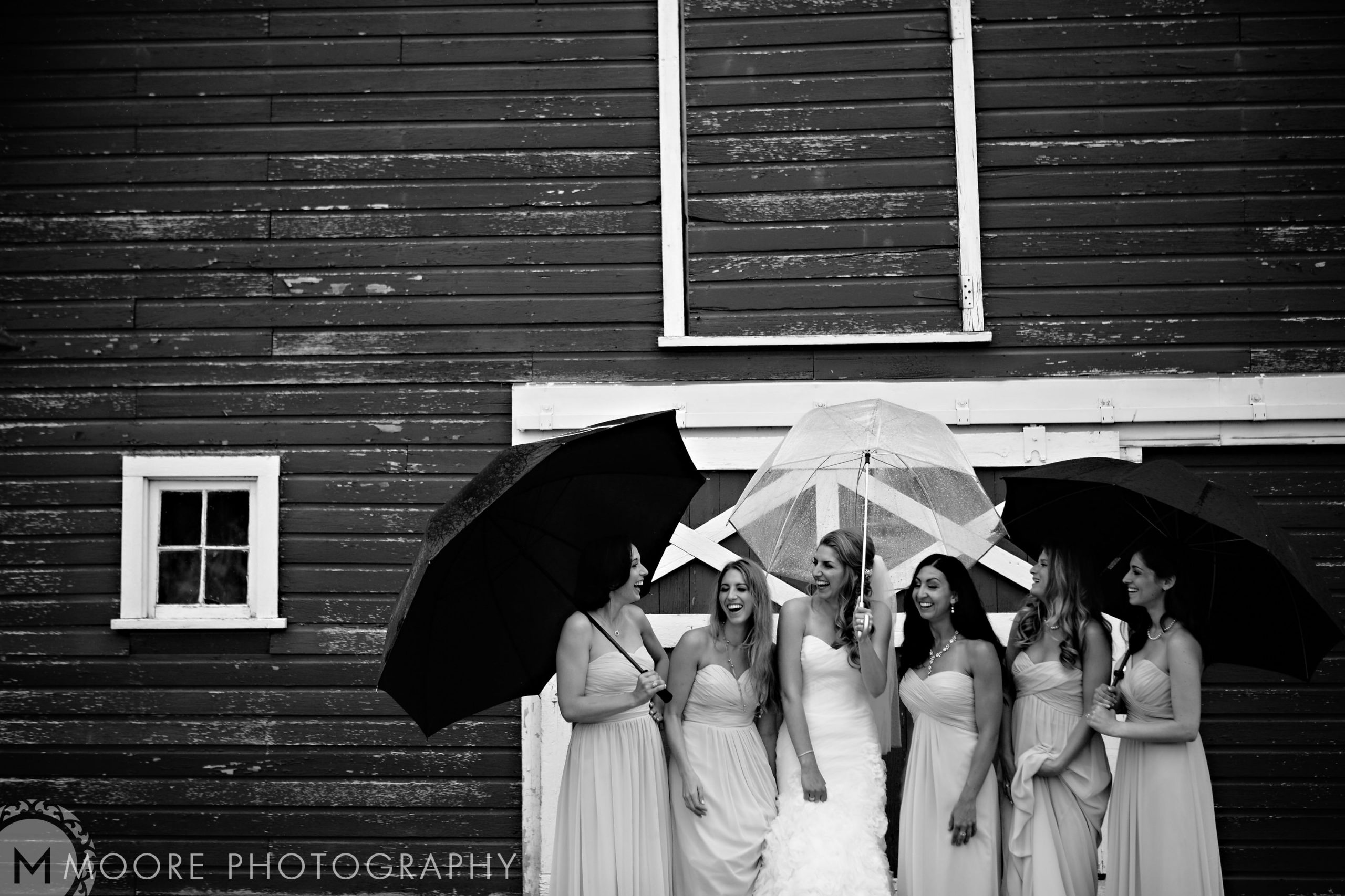 Black and white - Bride