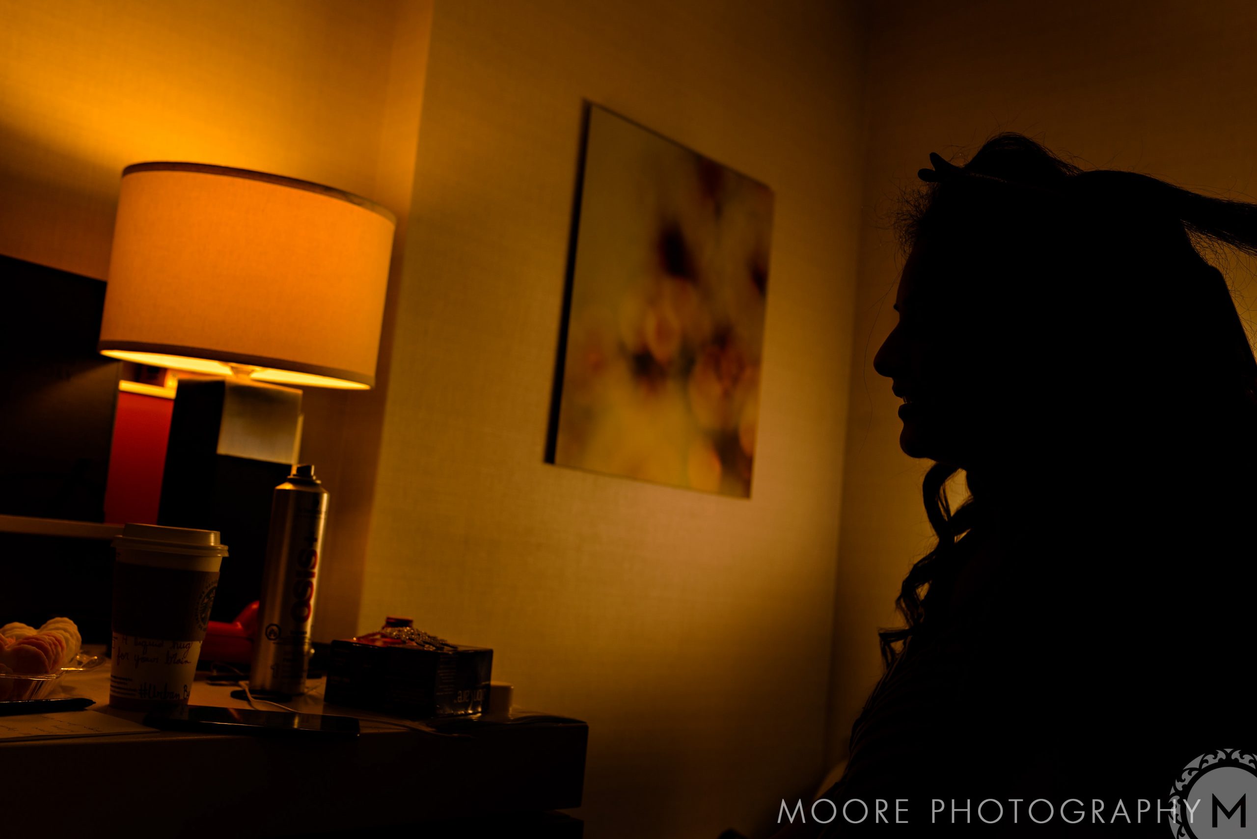 Lampshade - Light