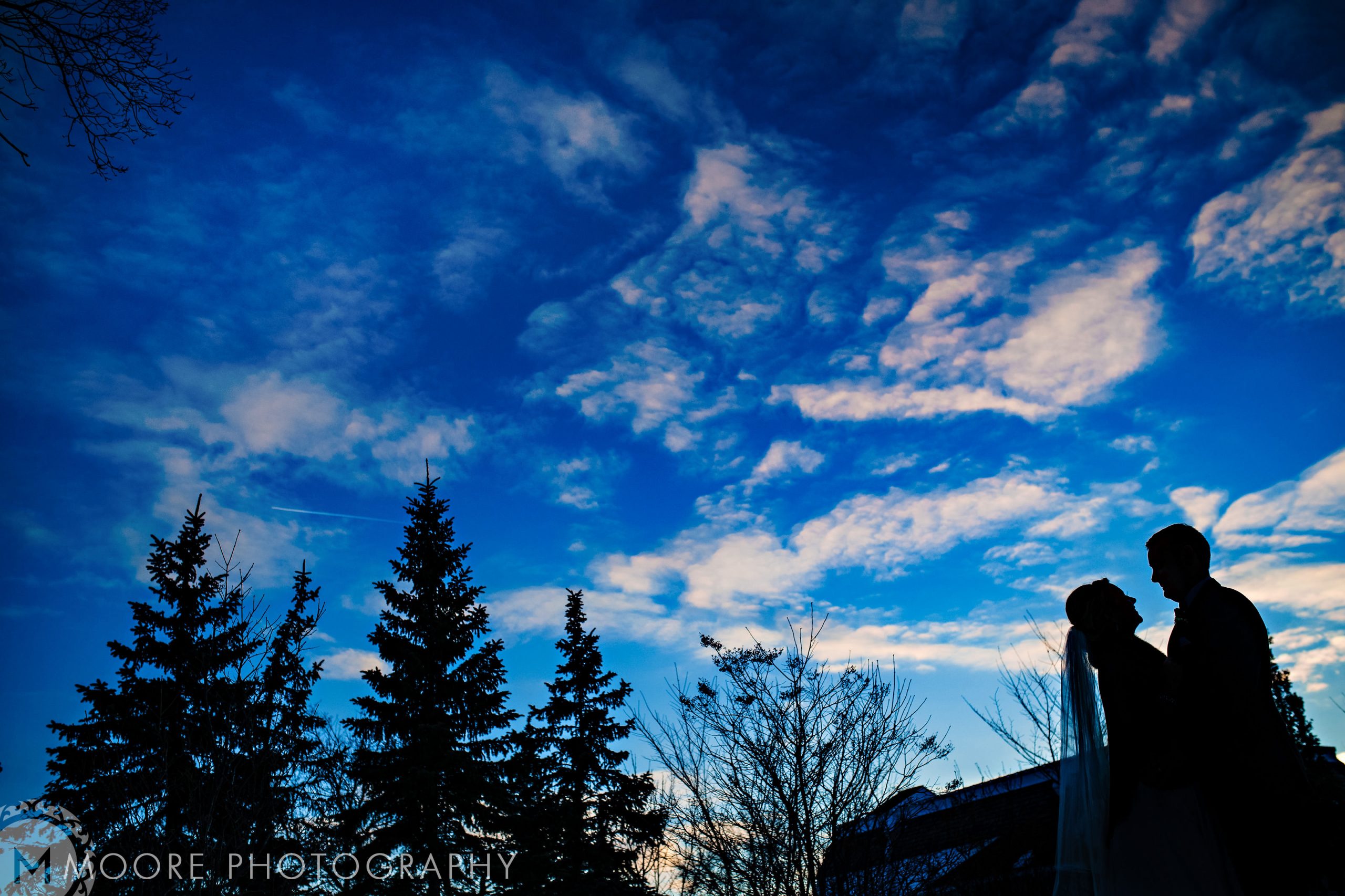 Photograph - Wallpaper