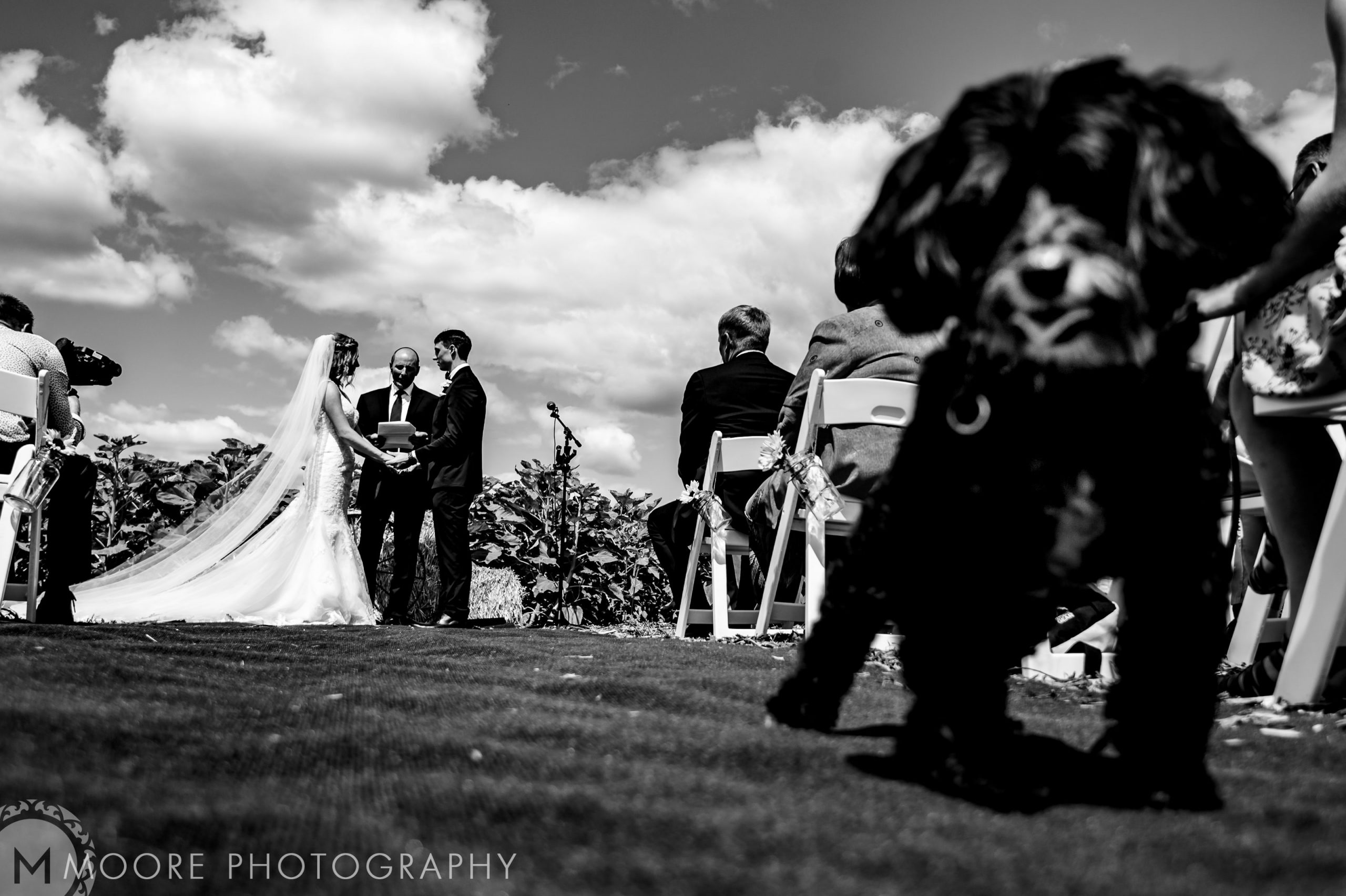 Black and white - Photograph