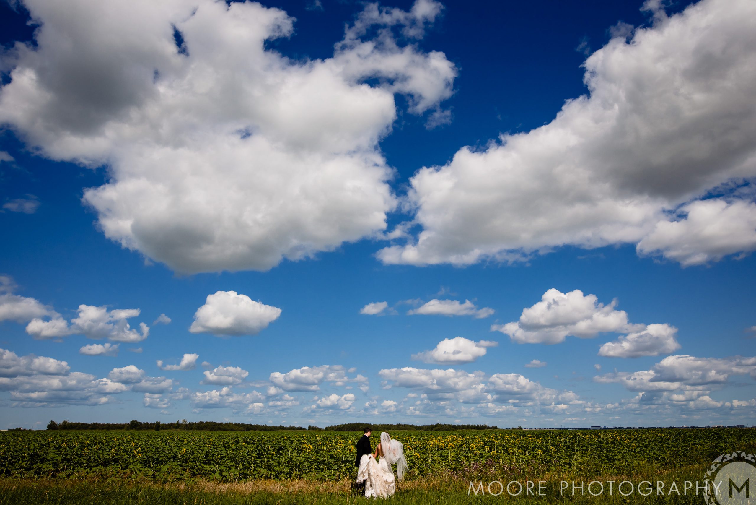 Grassland - Steppe