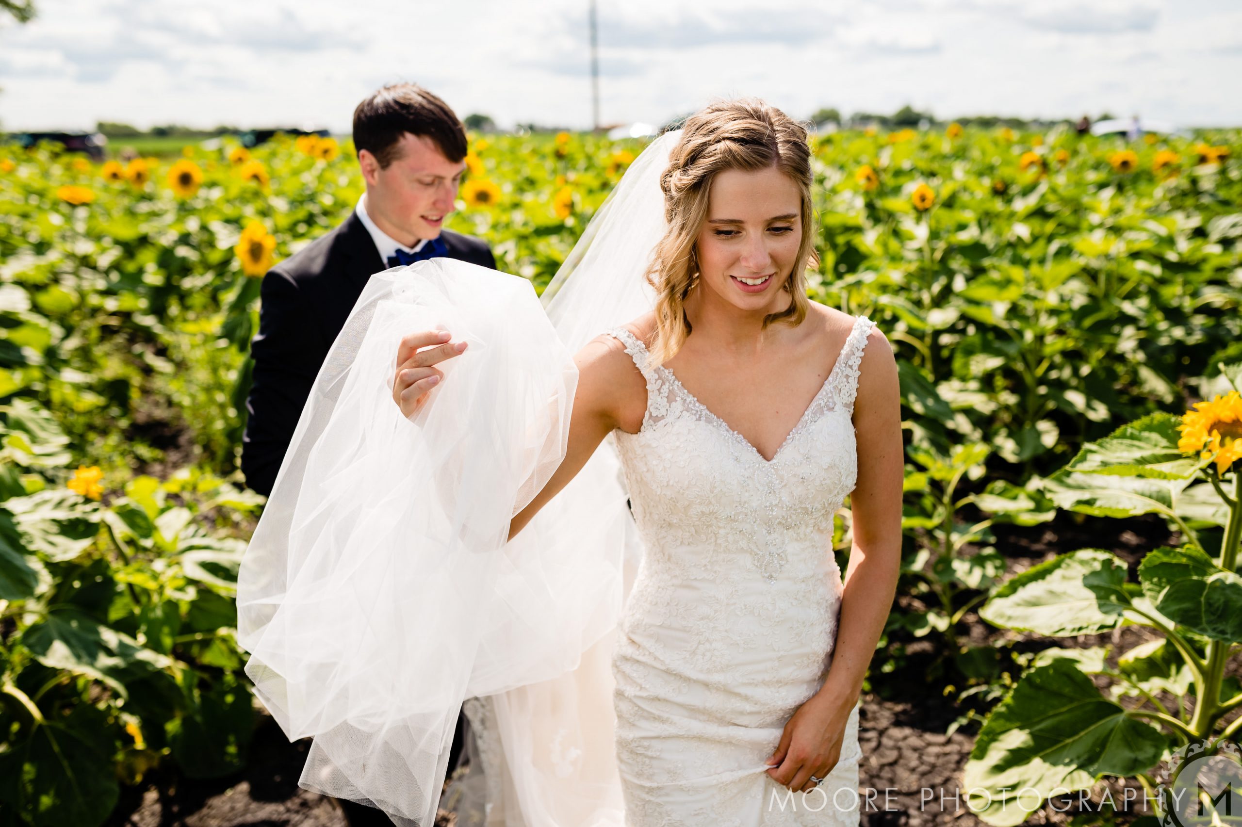 Wedding Dress - Wedding