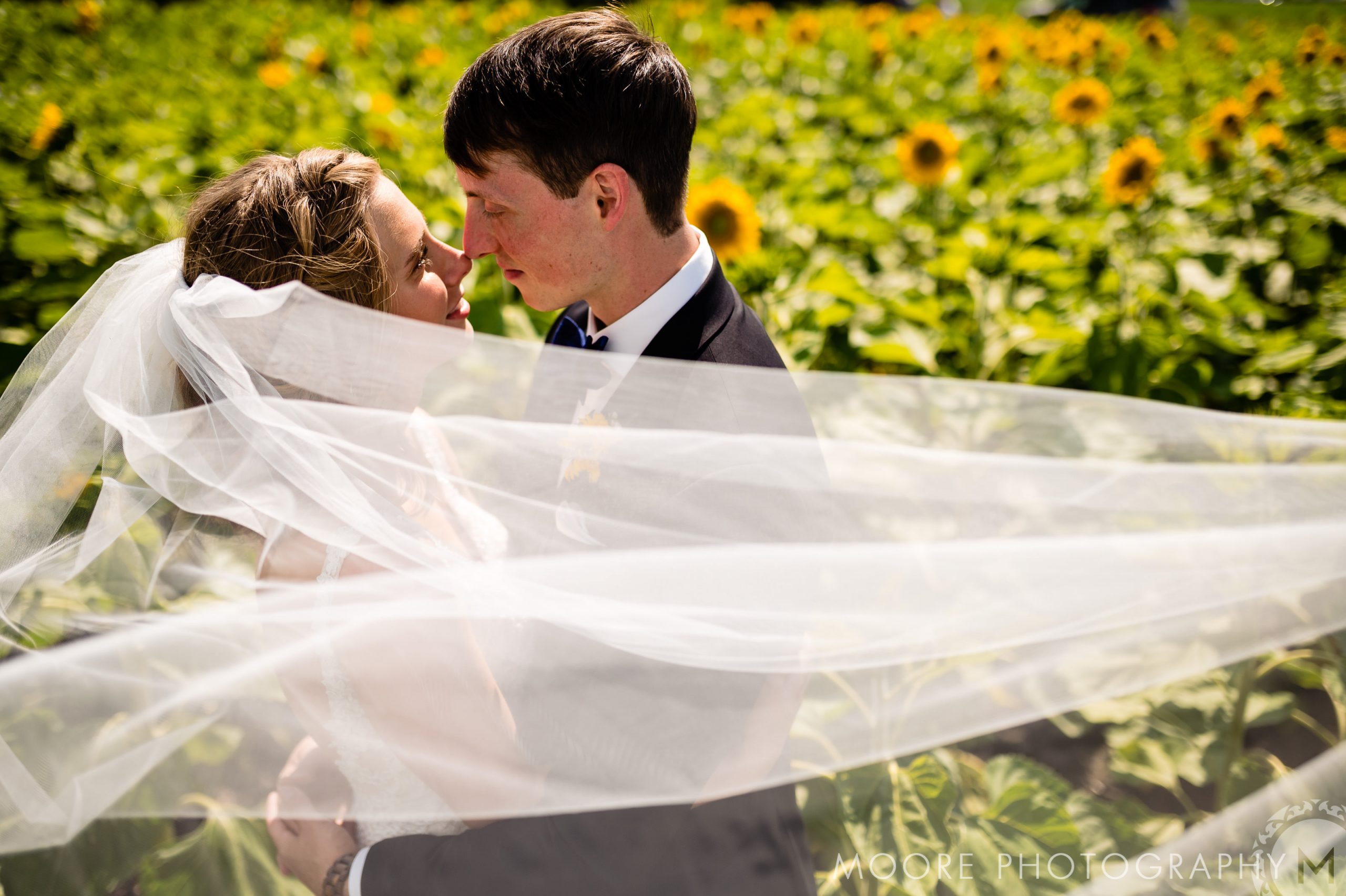 Wedding Dress - Wedding