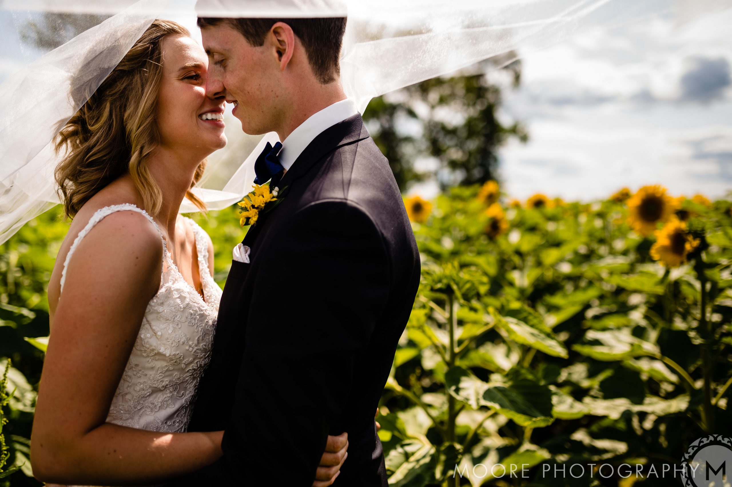 Wedding - Wedding Dress