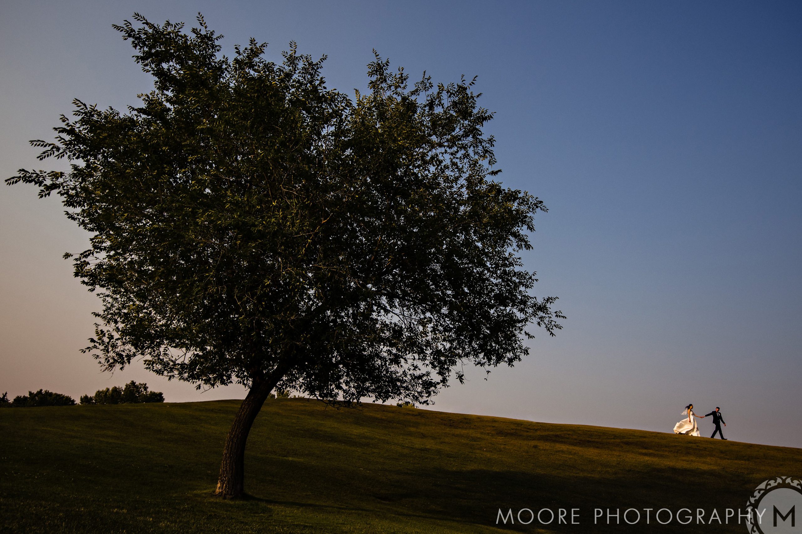 A couple strolls at sunset on a grassy hill, like a serene Winnipeg wedding venue.