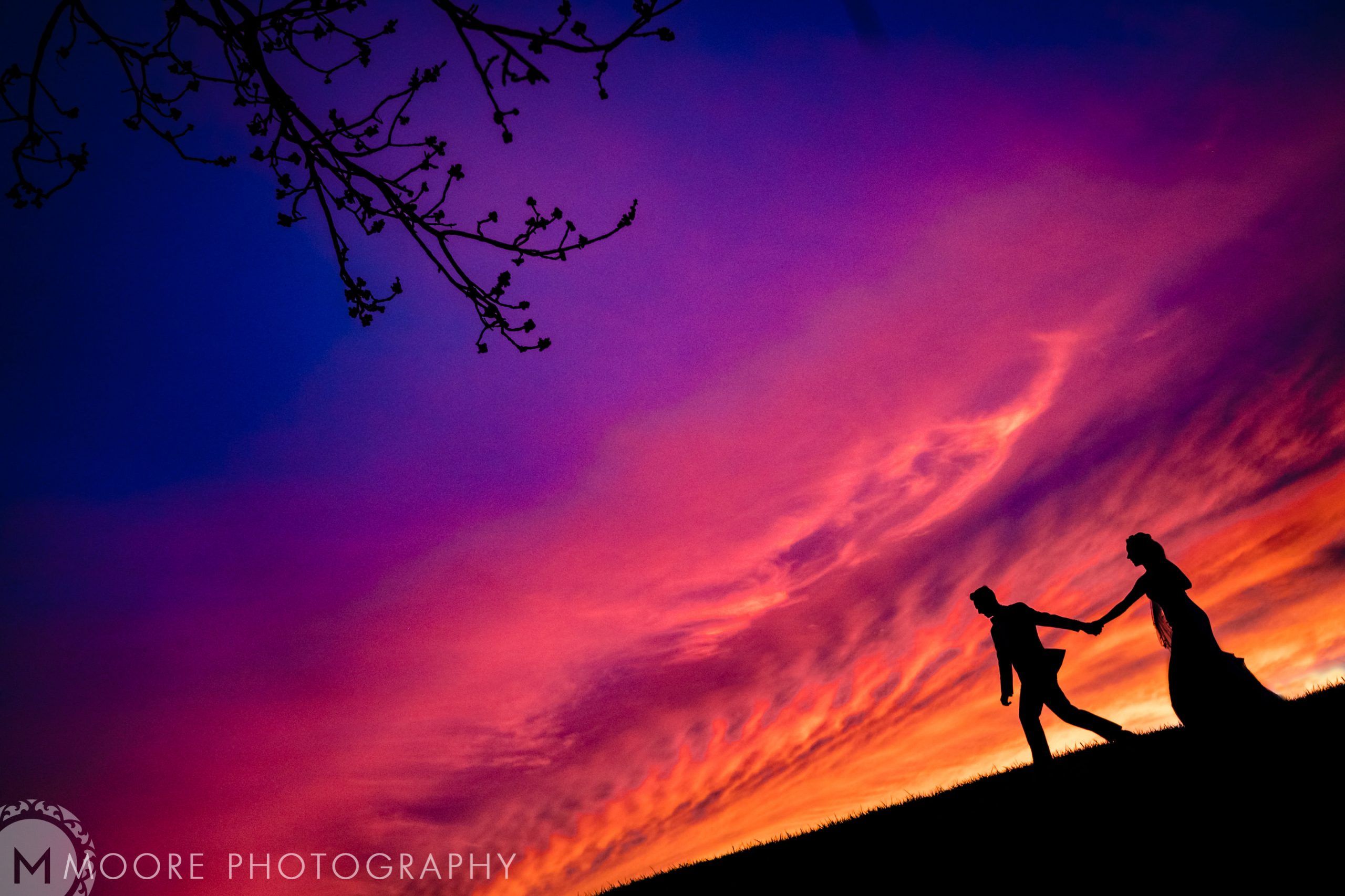 Under Winnipeg's sunset sky, a couple holds hands beneath tree branches.