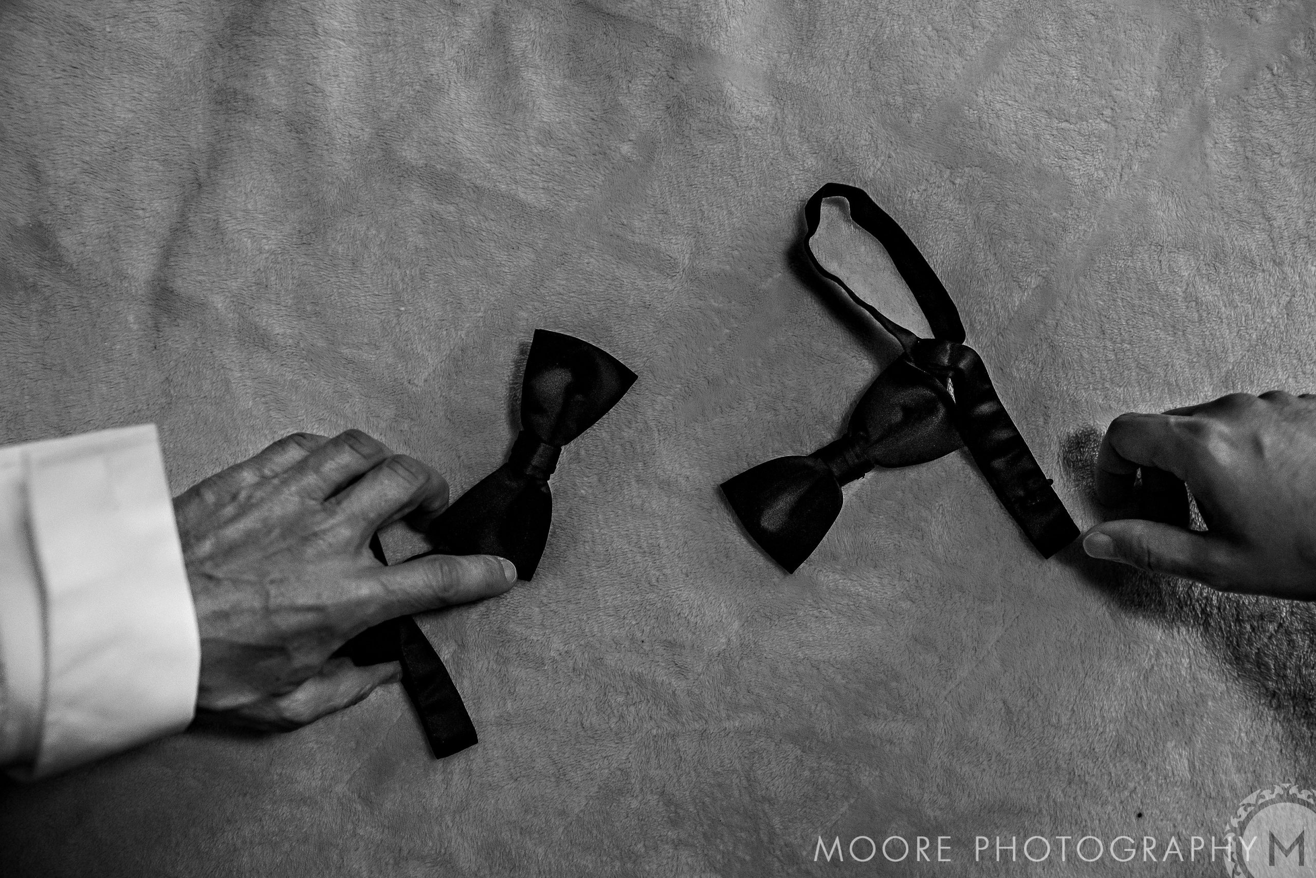 Black and white - Photograph