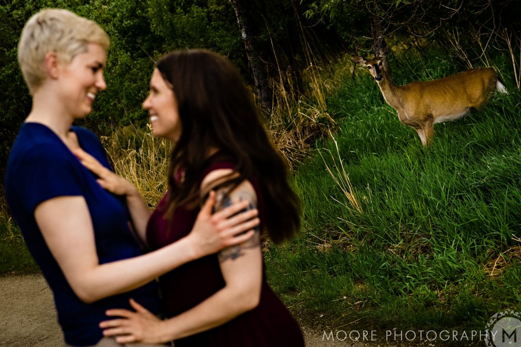 An engaged lesbian couple, embracing and laughing at a assiniboine in Forest with a deer looking in the background