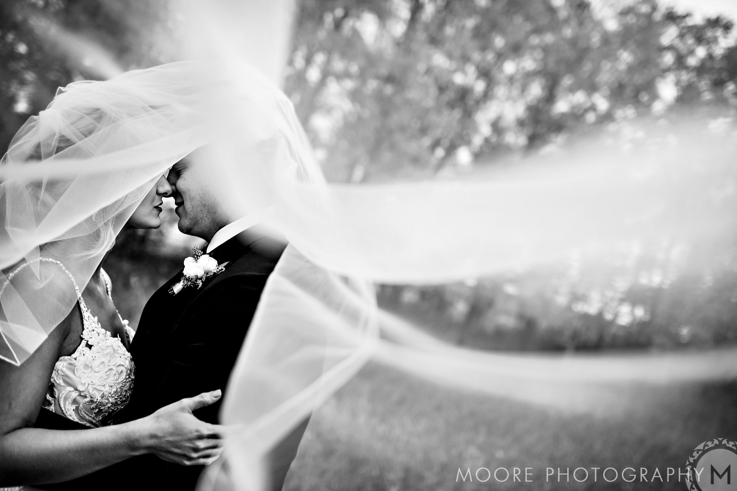 Bride and groom kiss under a flowing veil, captured at Winnipeg wedding venues.