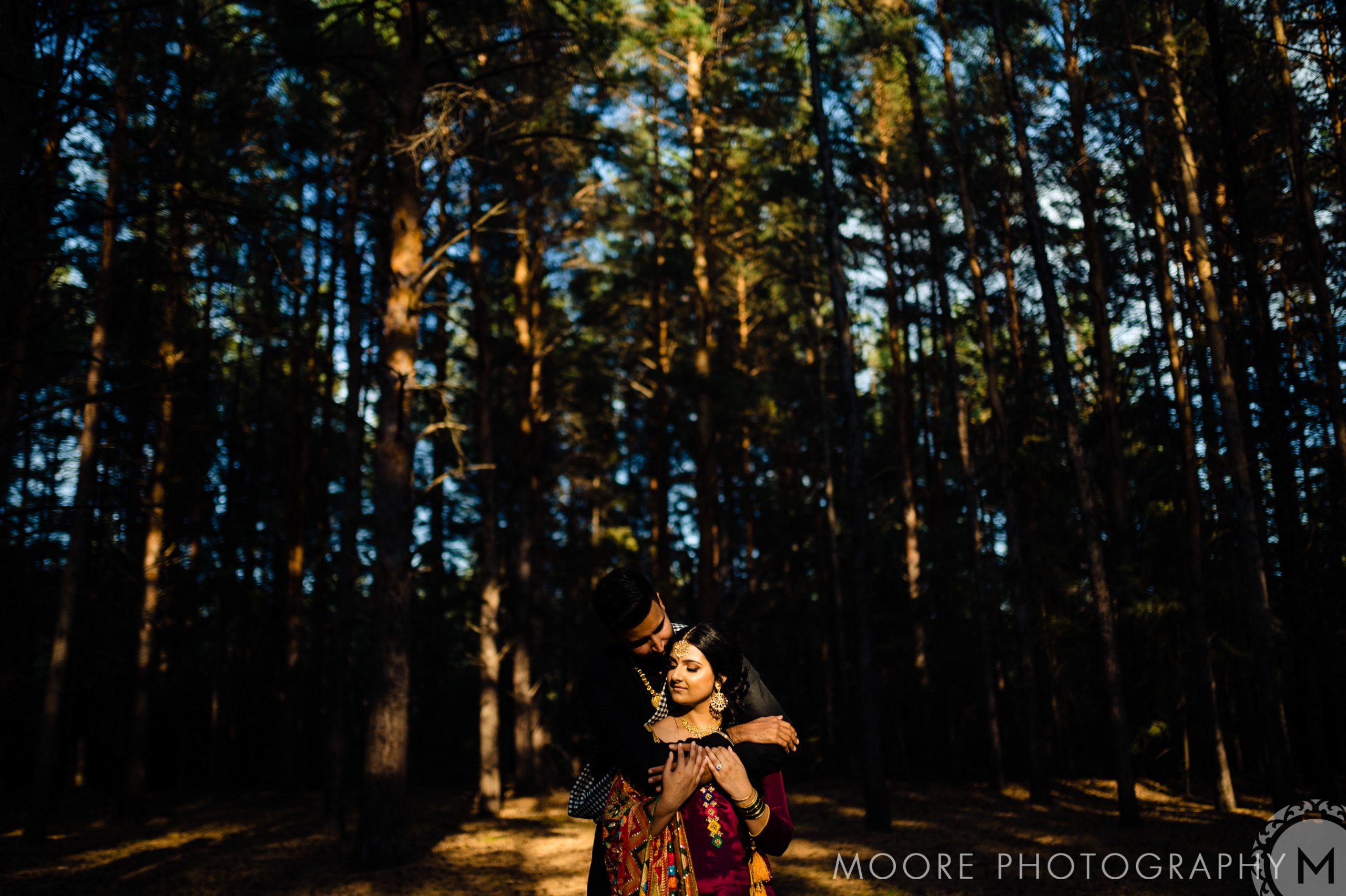 Photograph - Old-growth forest