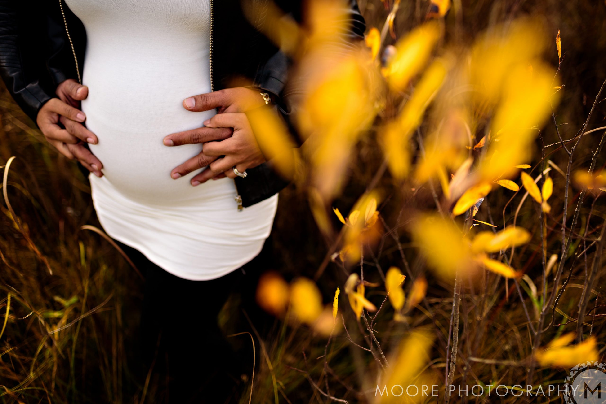 Photograph - Photography