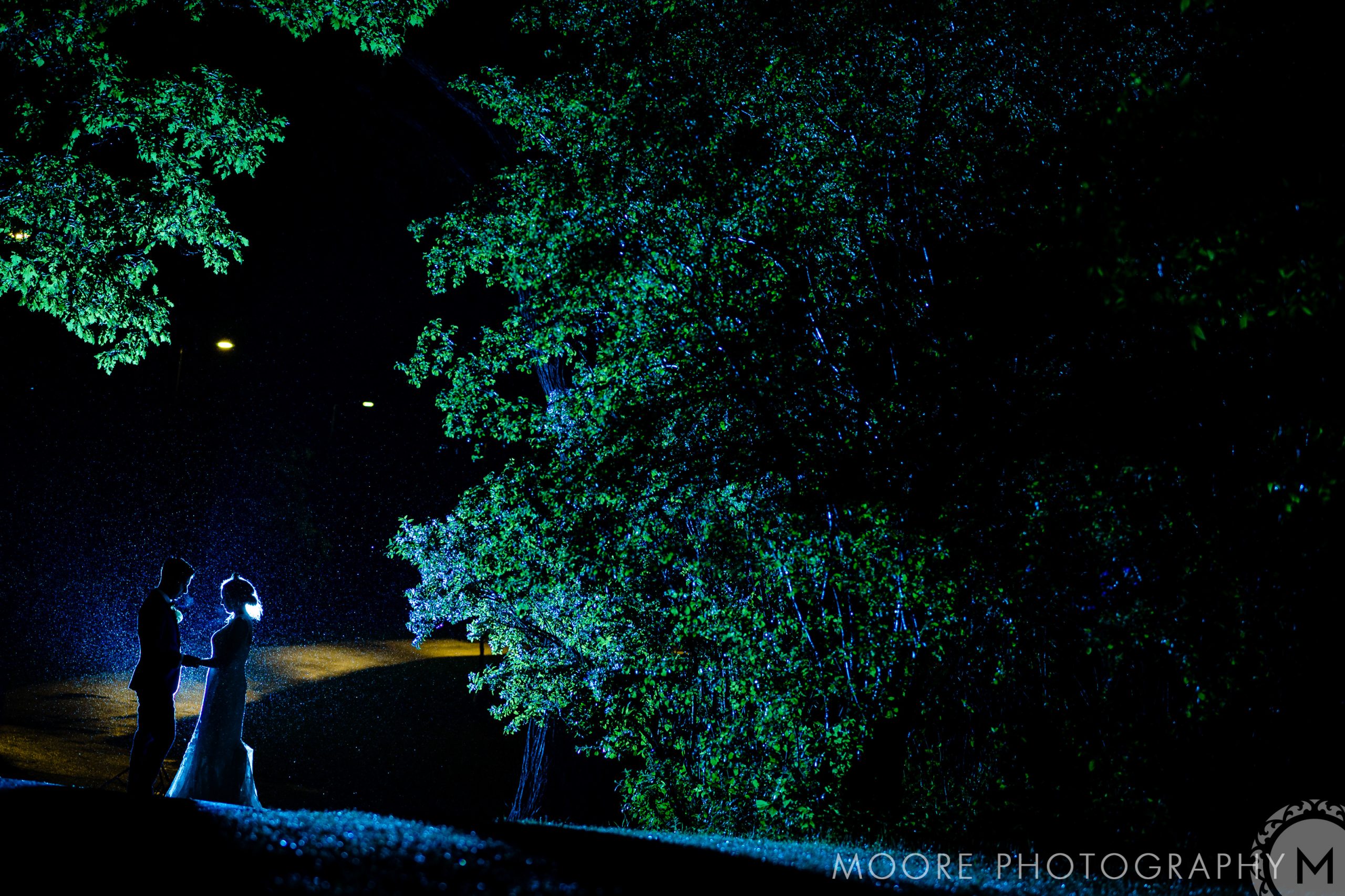 Night - Forest