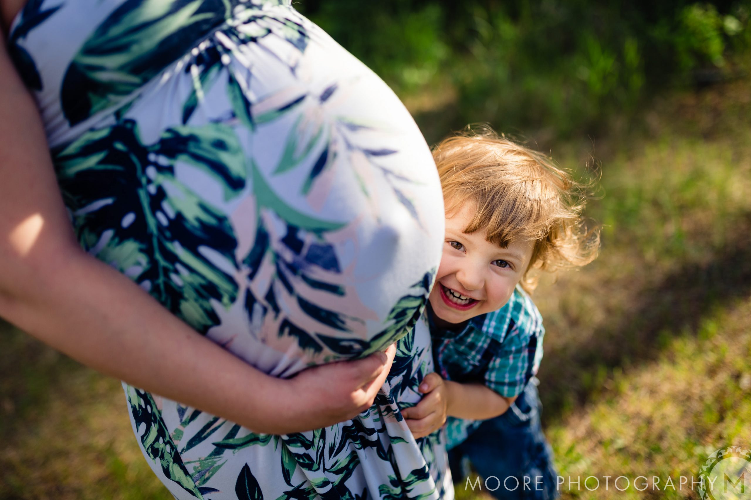 Photograph - Vertebrate