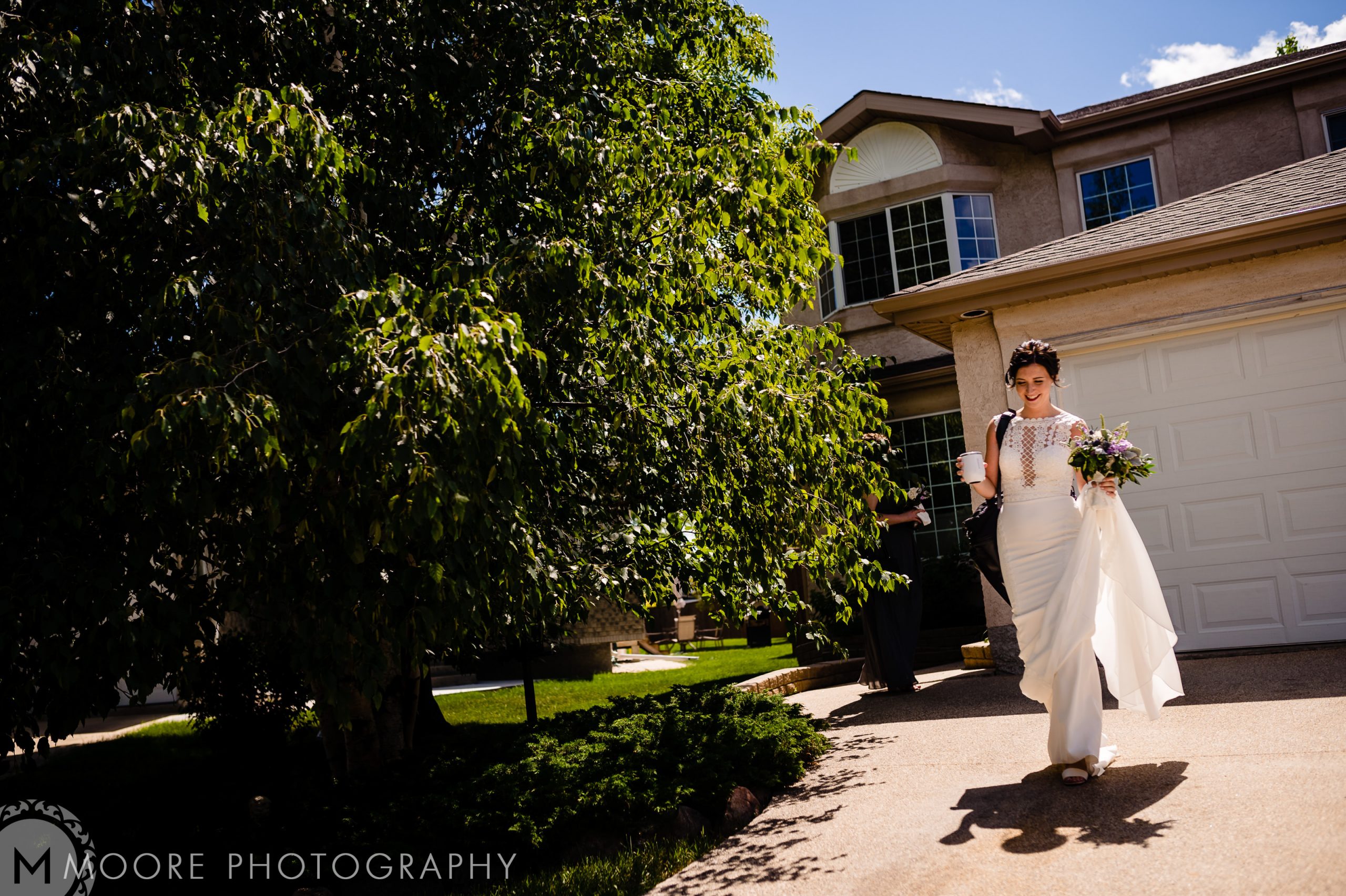 Wedding - Wedding Dress
