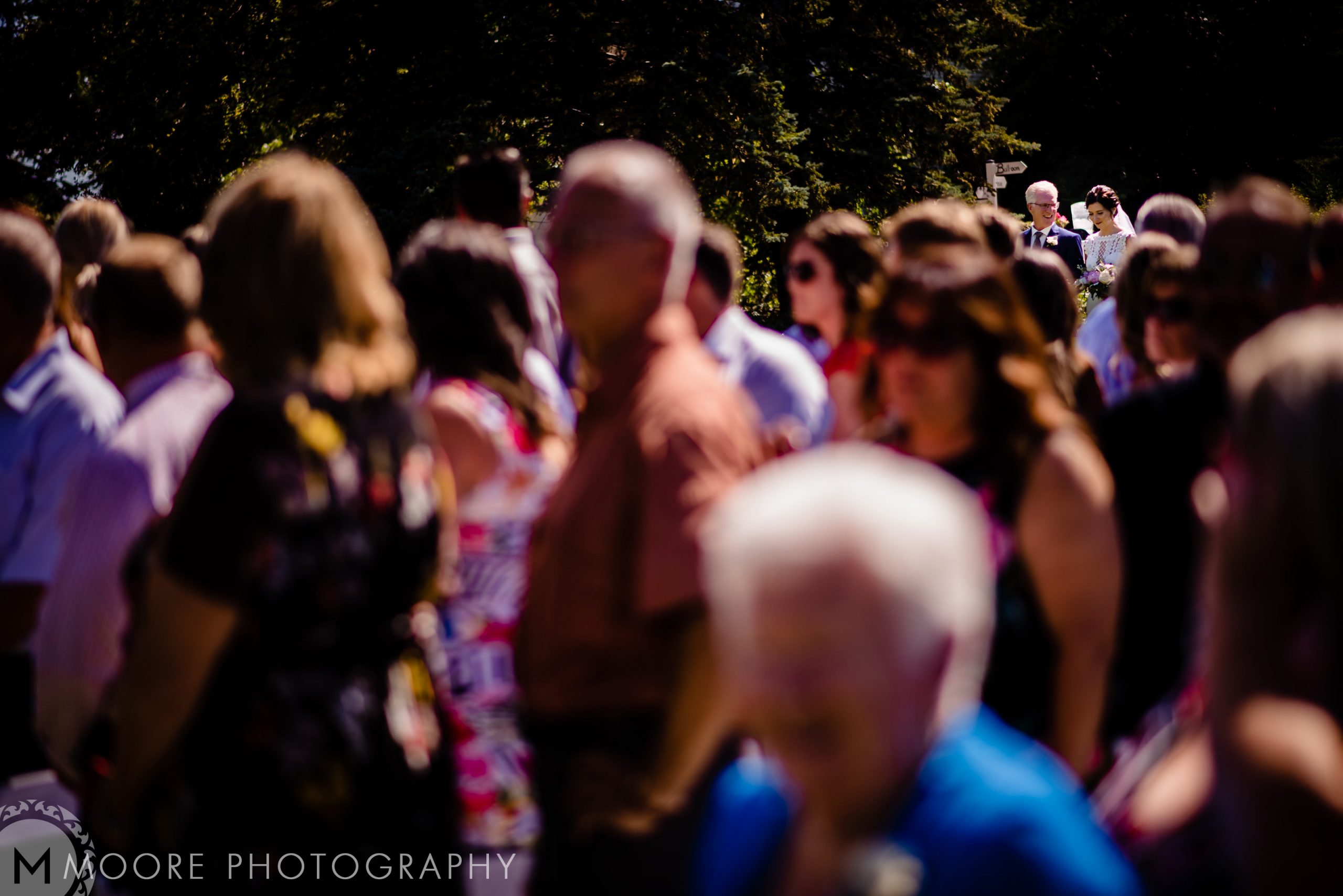 Photograph - Festival M.