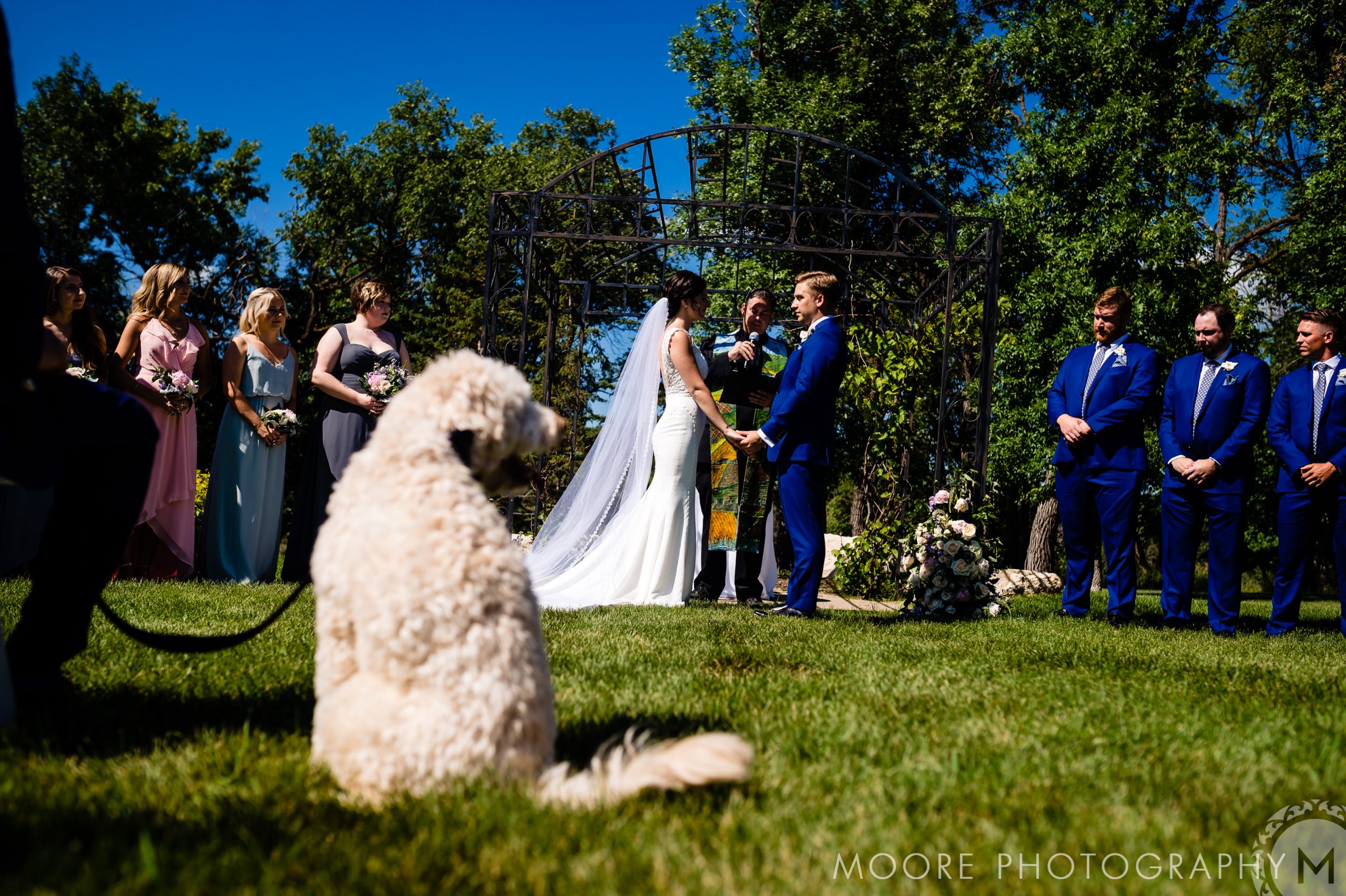 Wedding - Wedding Dress