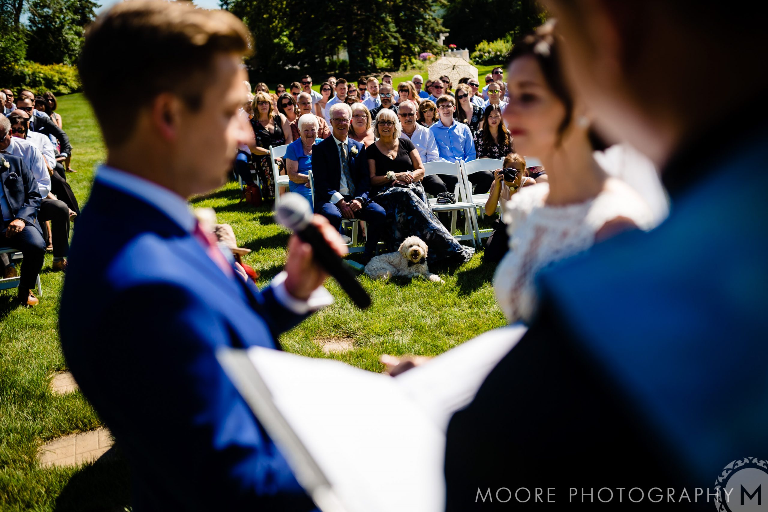 Wedding - Bridegroom