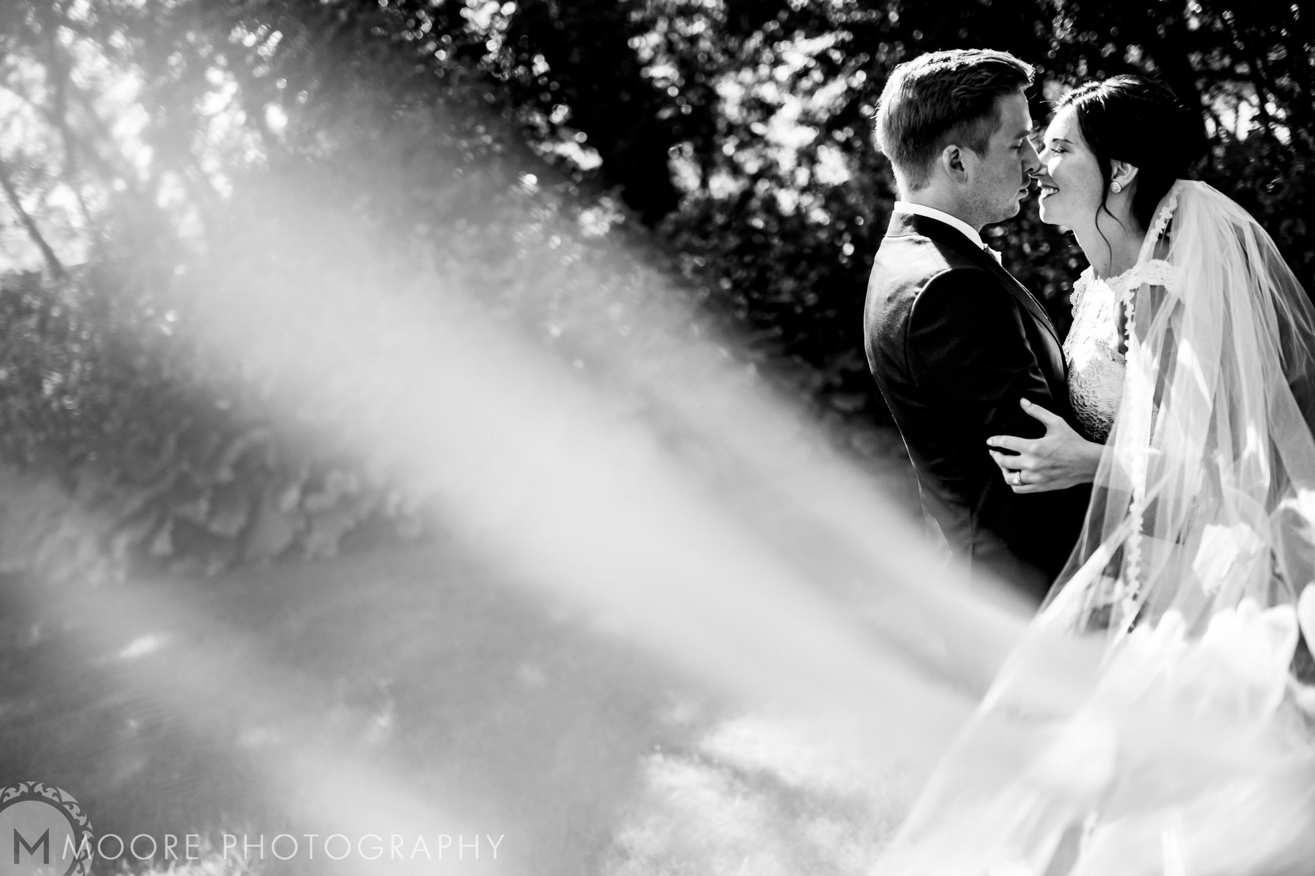 Wedding - Wedding Dress