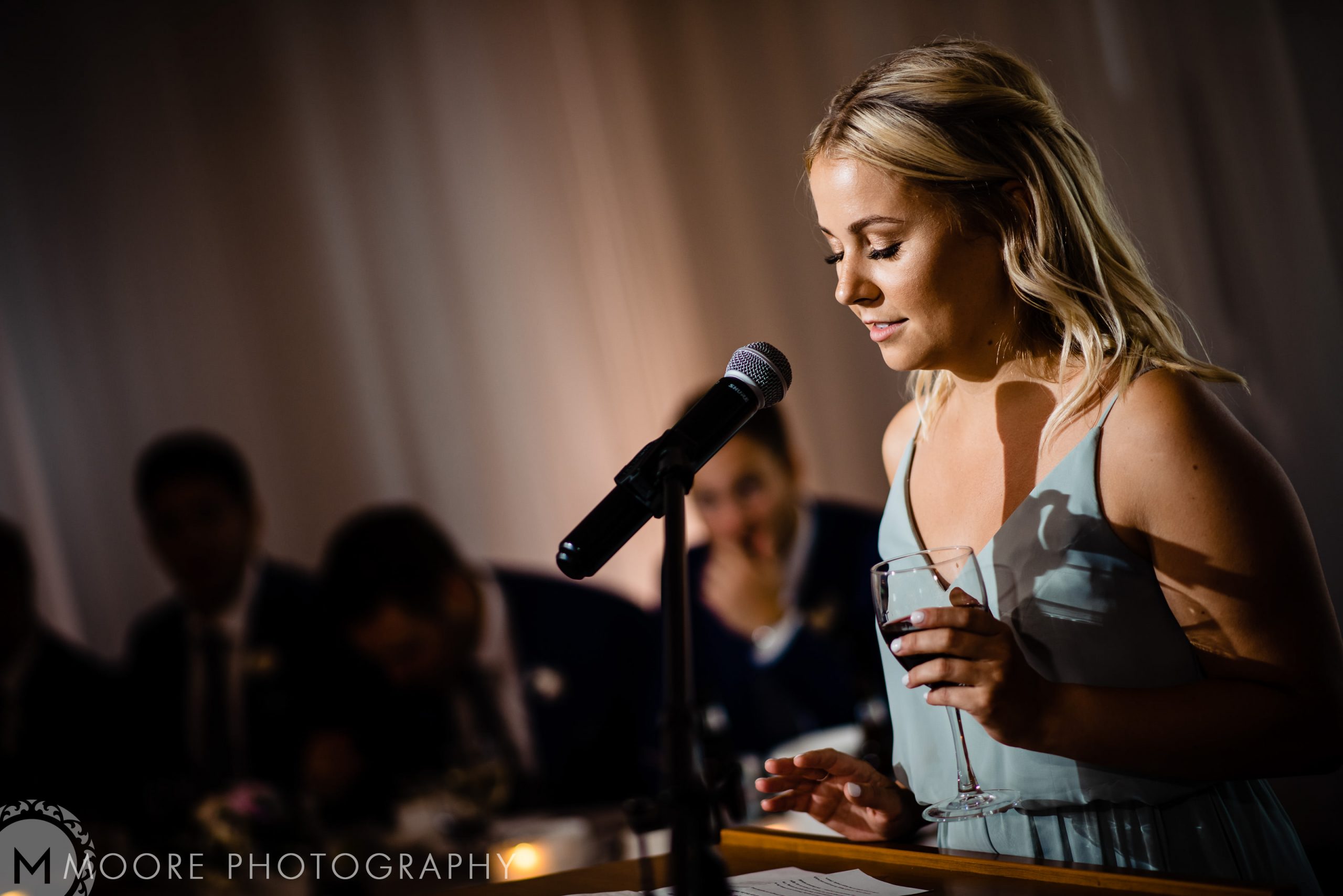 Microphone - Musician