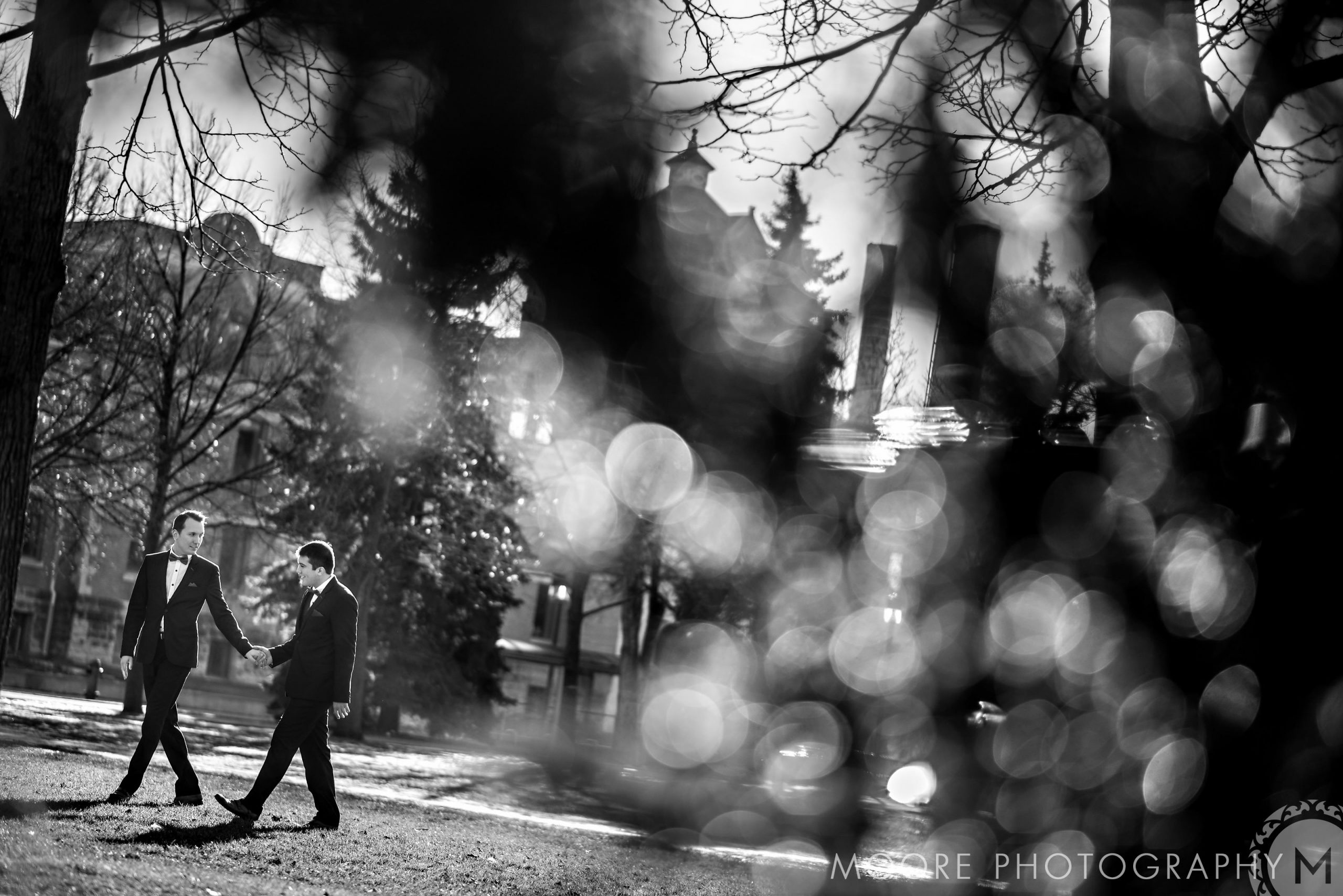 Black and white - Tree