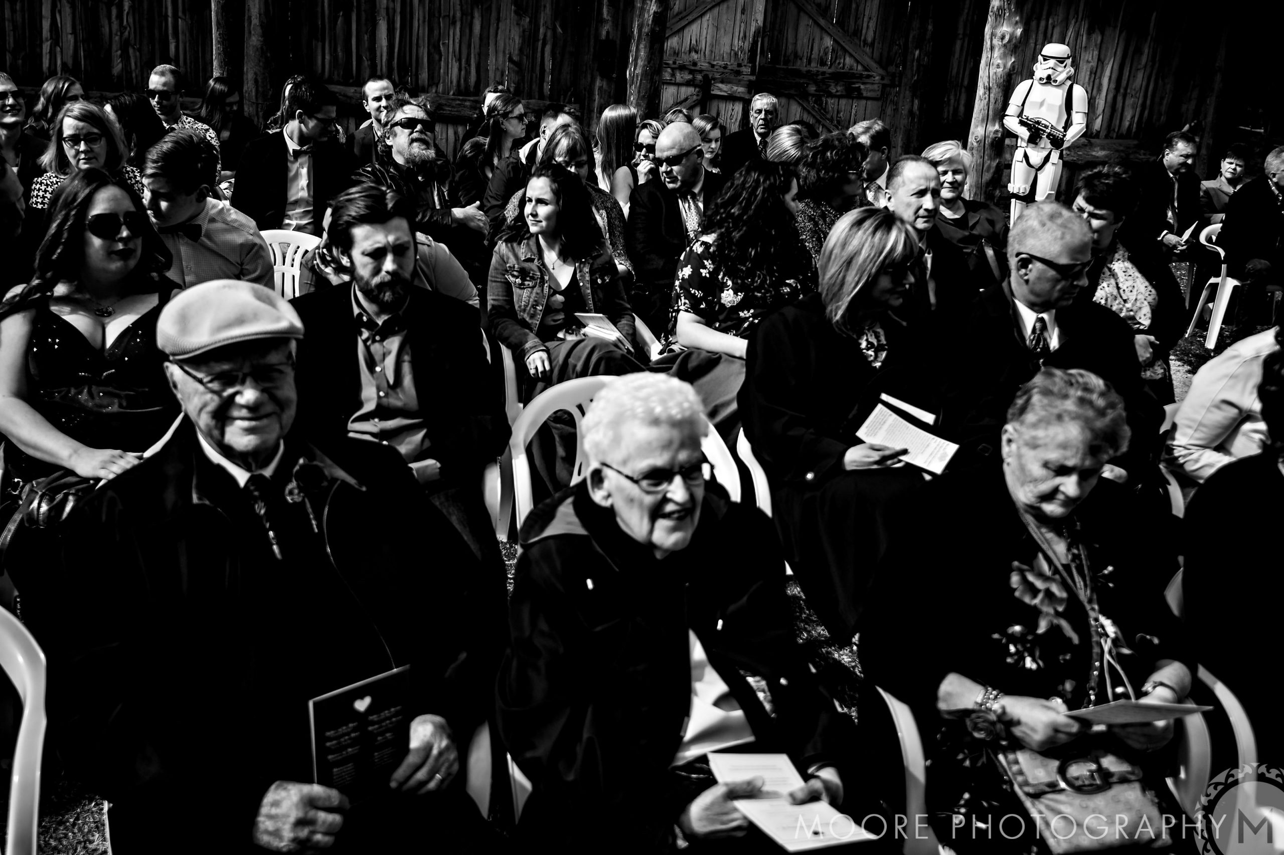 Black and white - Photograph