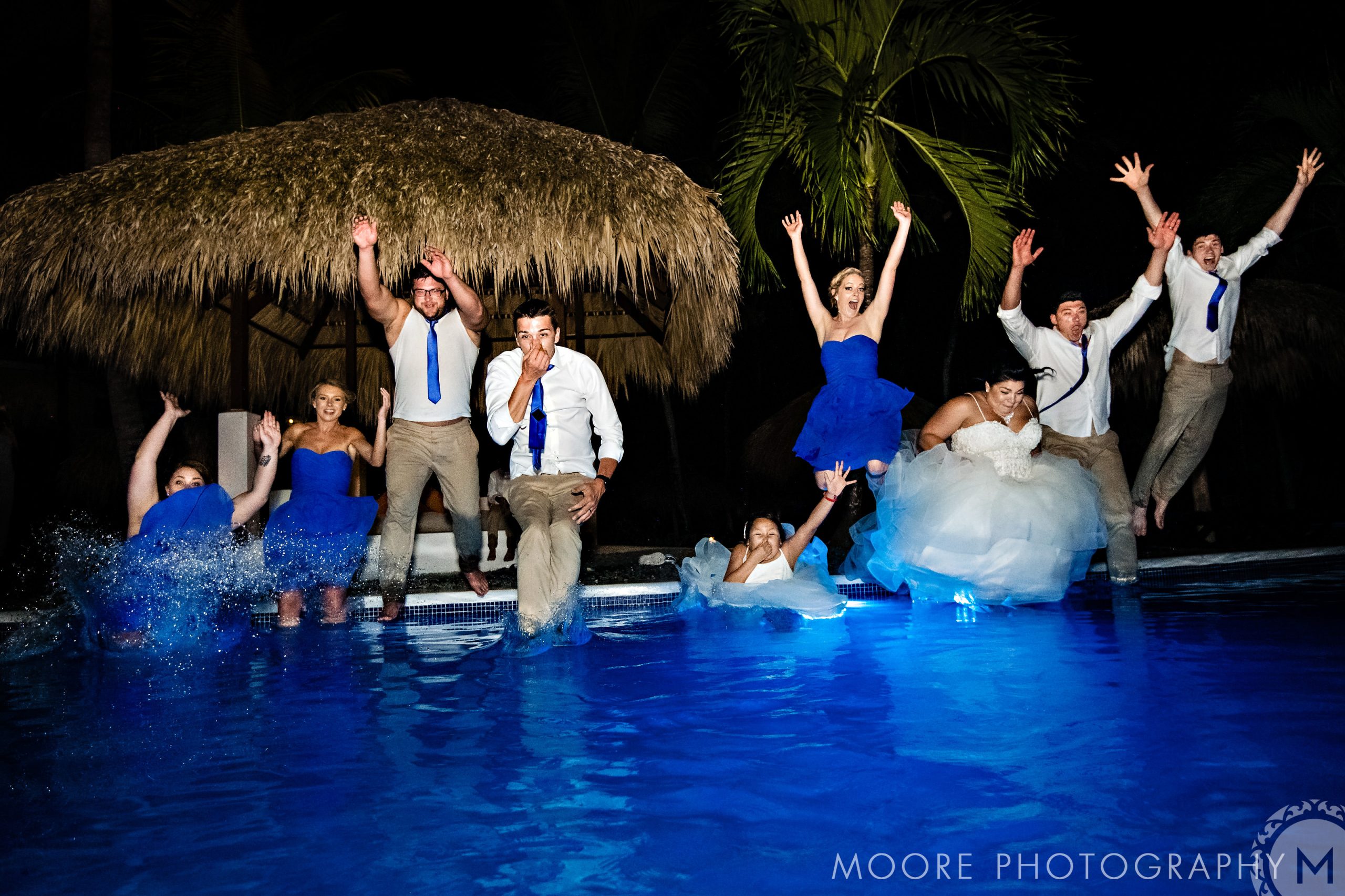 Vertebrate - Musical theatre