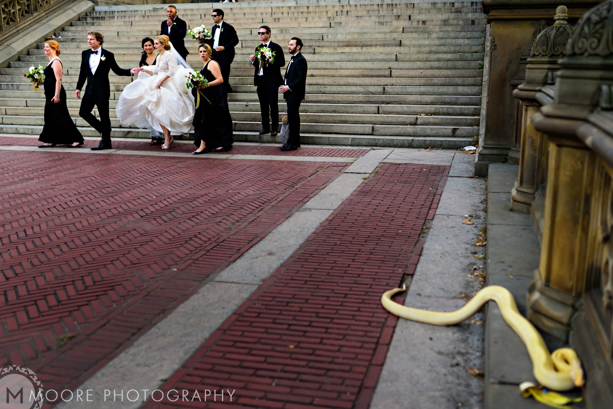 Photograph - Bridegroom