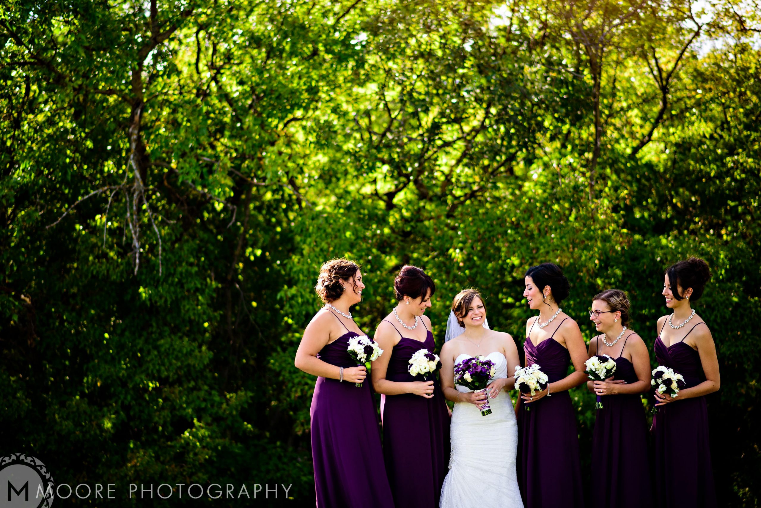 Wedding reception - Bride