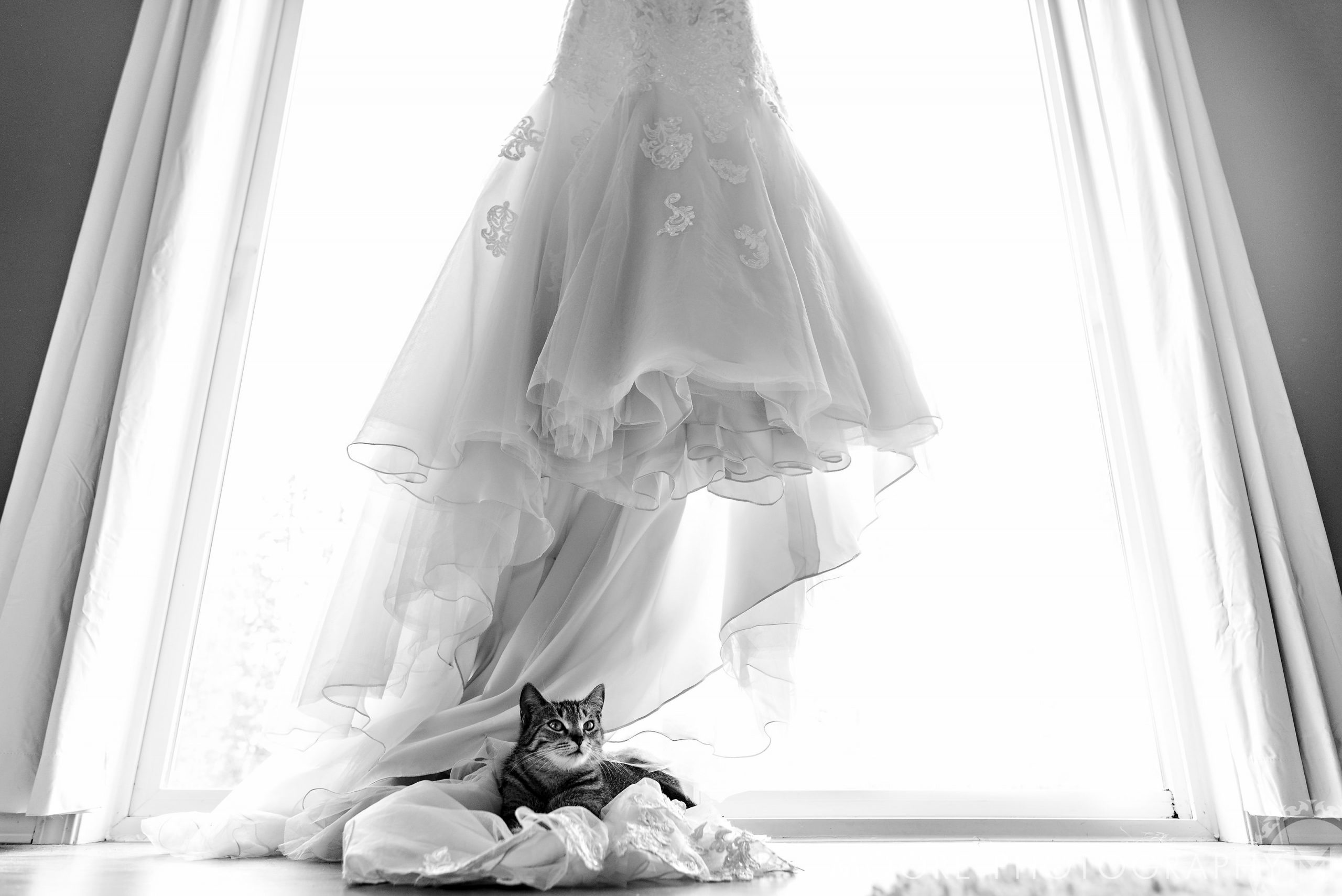 Wedding Dress - Bride