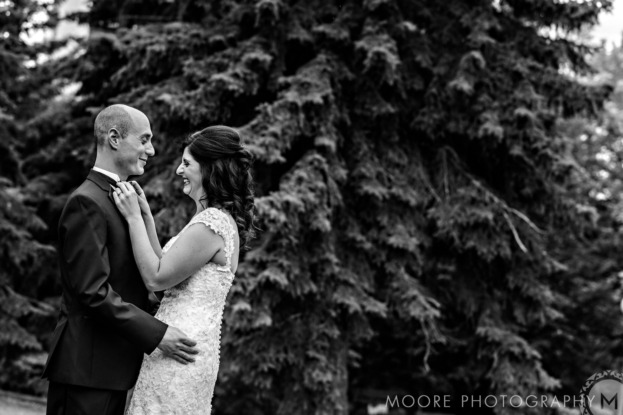 Black and white - Photograph