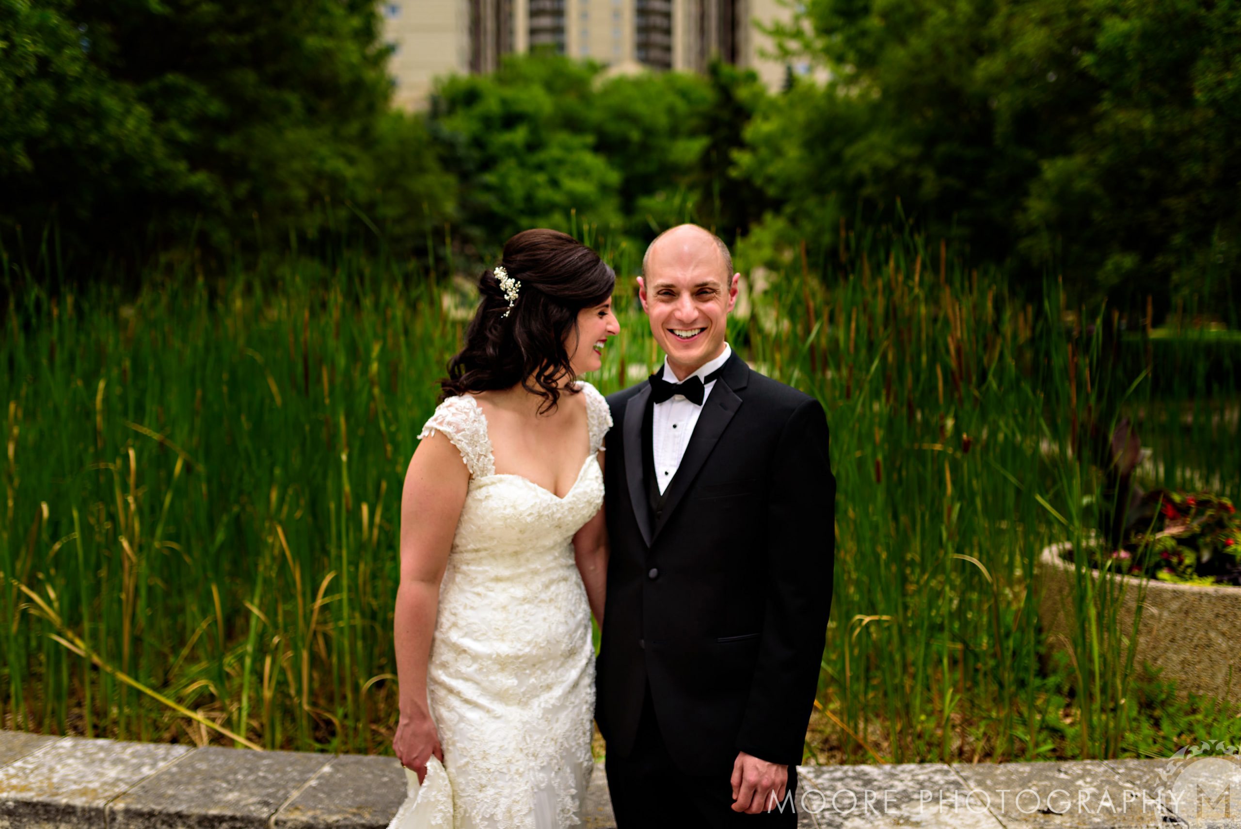 Wedding Dress - Wedding