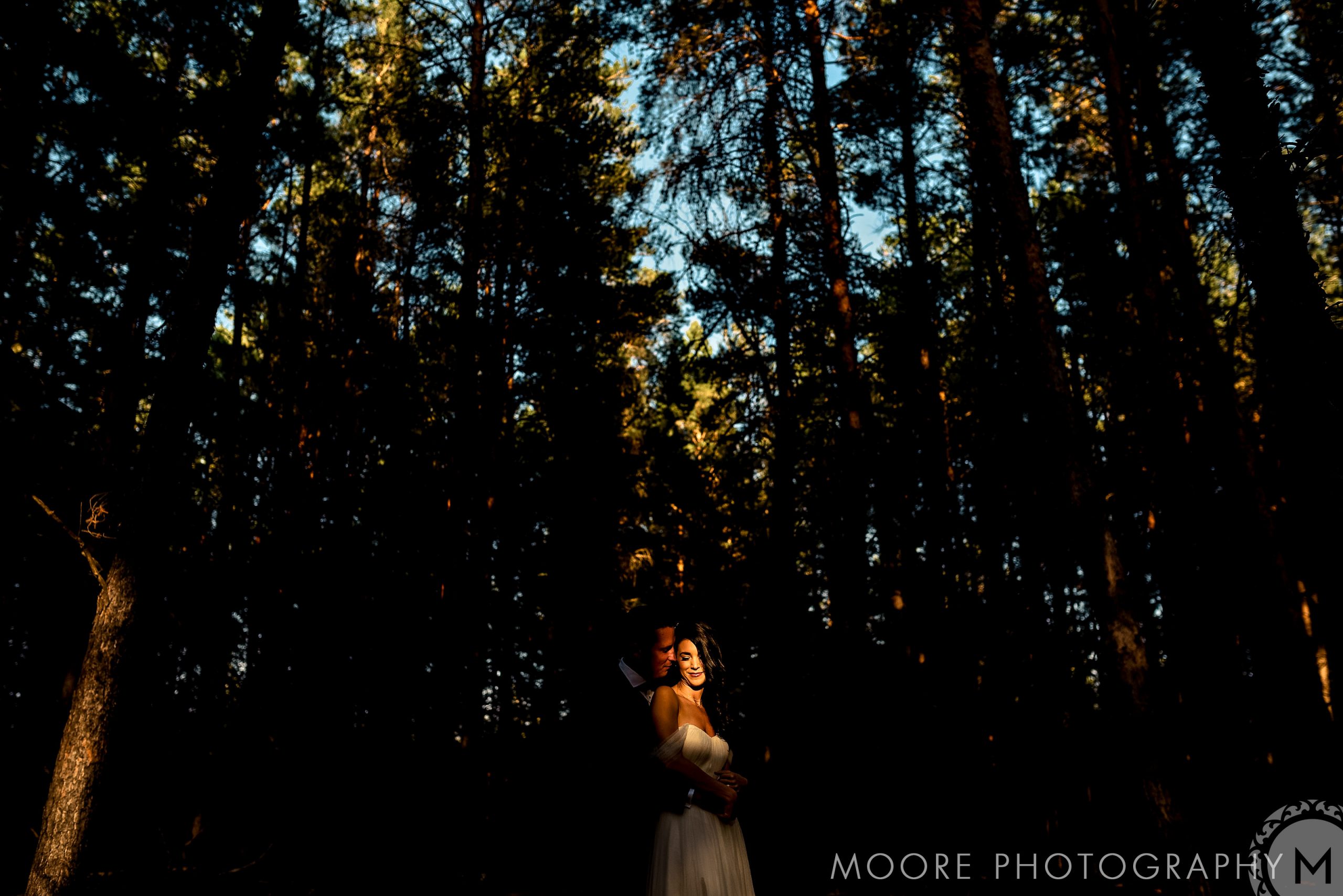 Photograph - Wallpaper