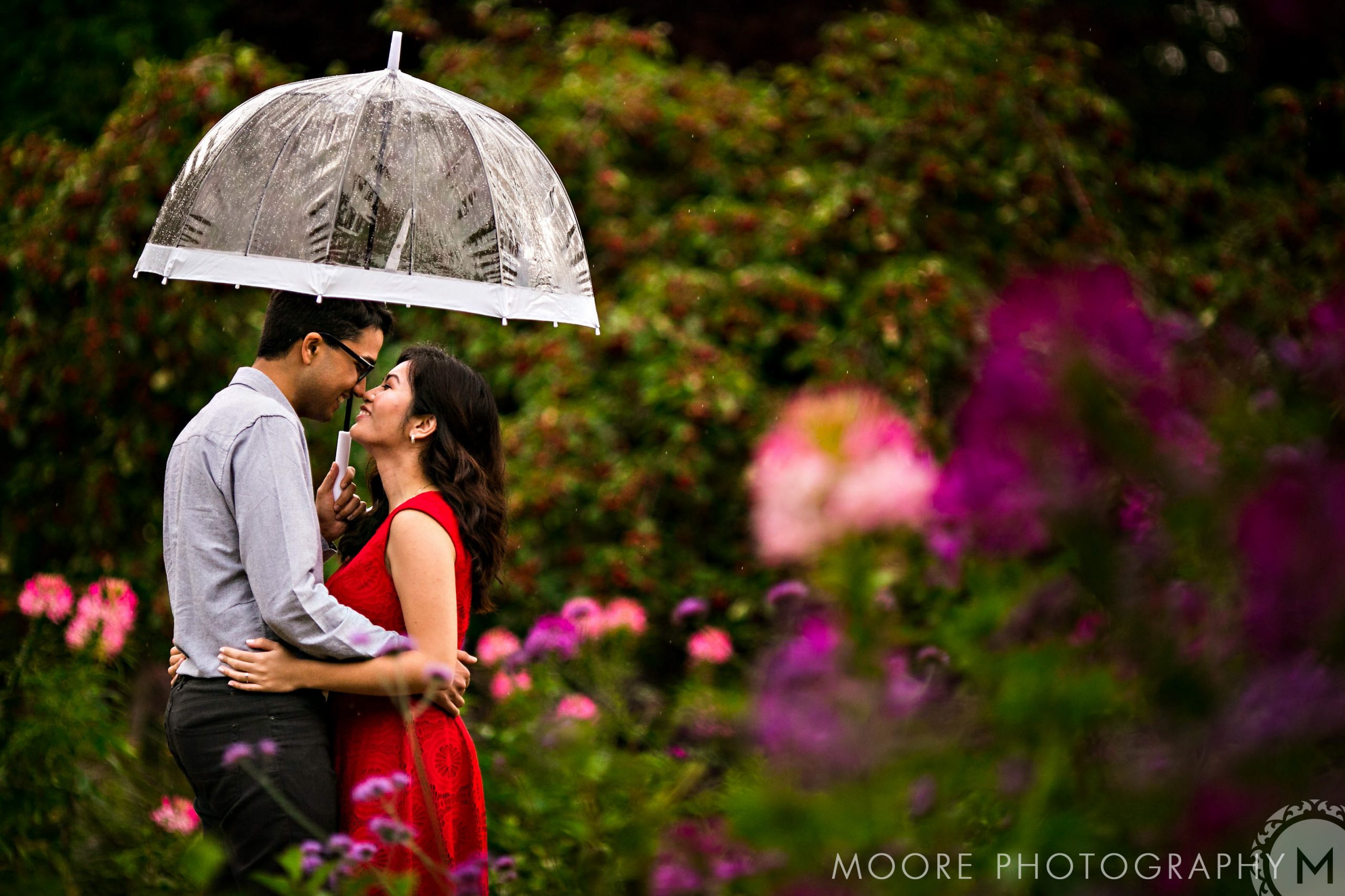 A relaxed couple under a clear umbrella, surrounded by vibrant garden flowers in Winnipeg.