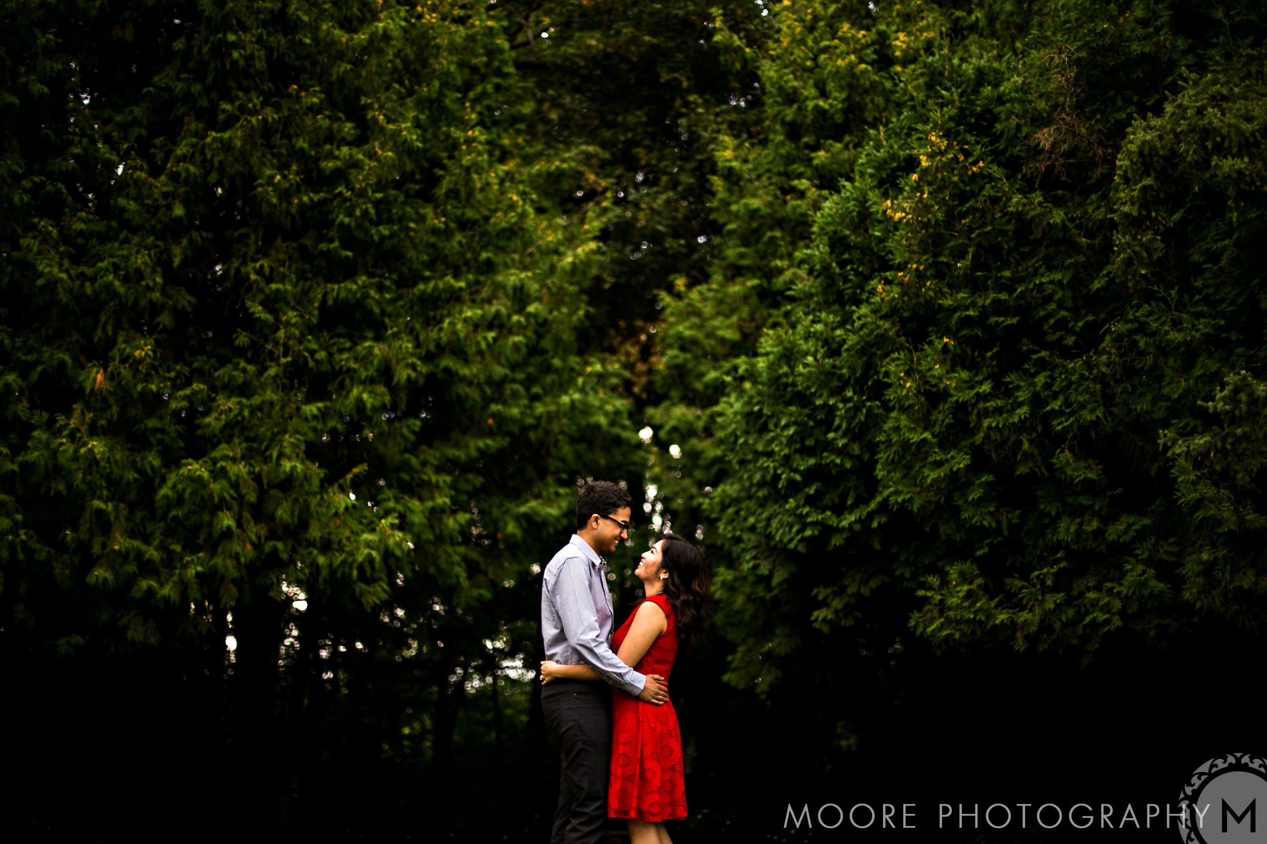 A couple embraces beneath Winnipeg's lush trees, light filtering through the leaves.