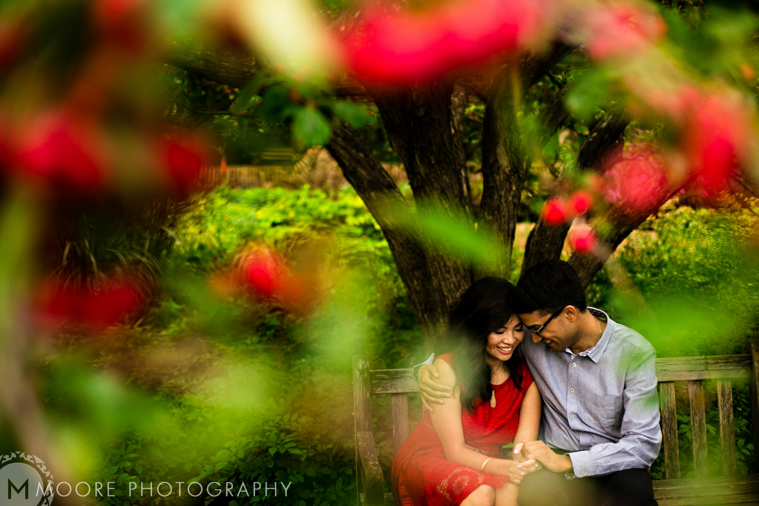 Relaxed couple sits on a bench under a tree, surrounded by blurred red flowers.
