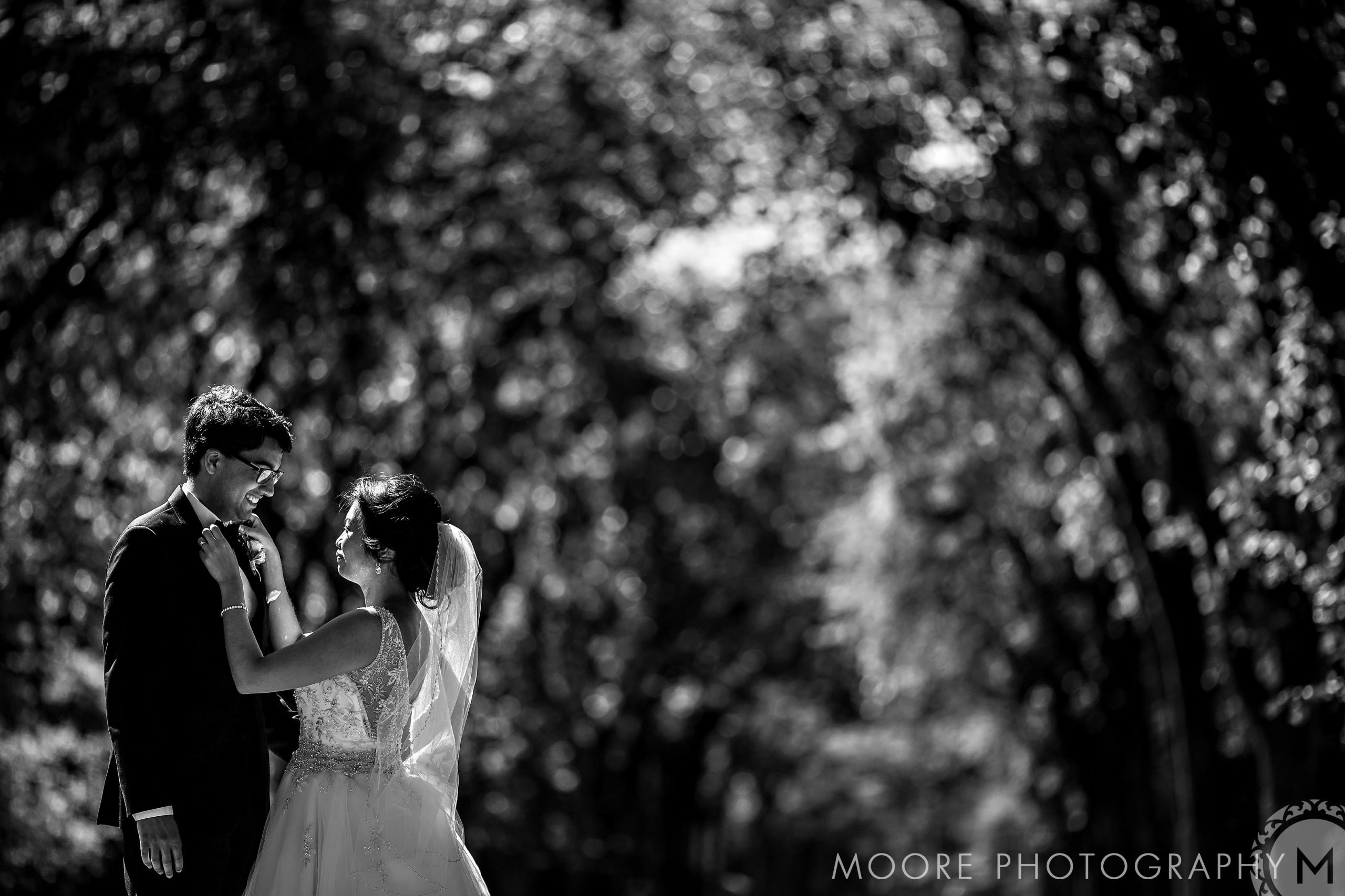 Bridegroom - Wedding