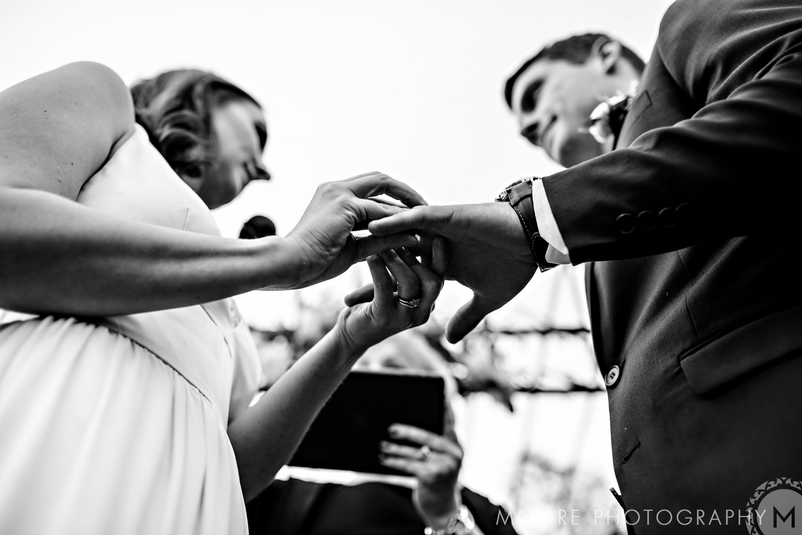 Black and white - Photograph