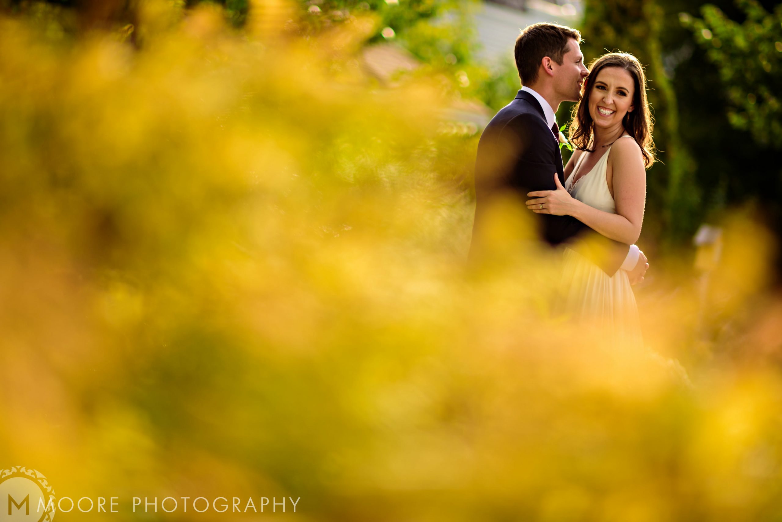 Photograph - Wallpaper