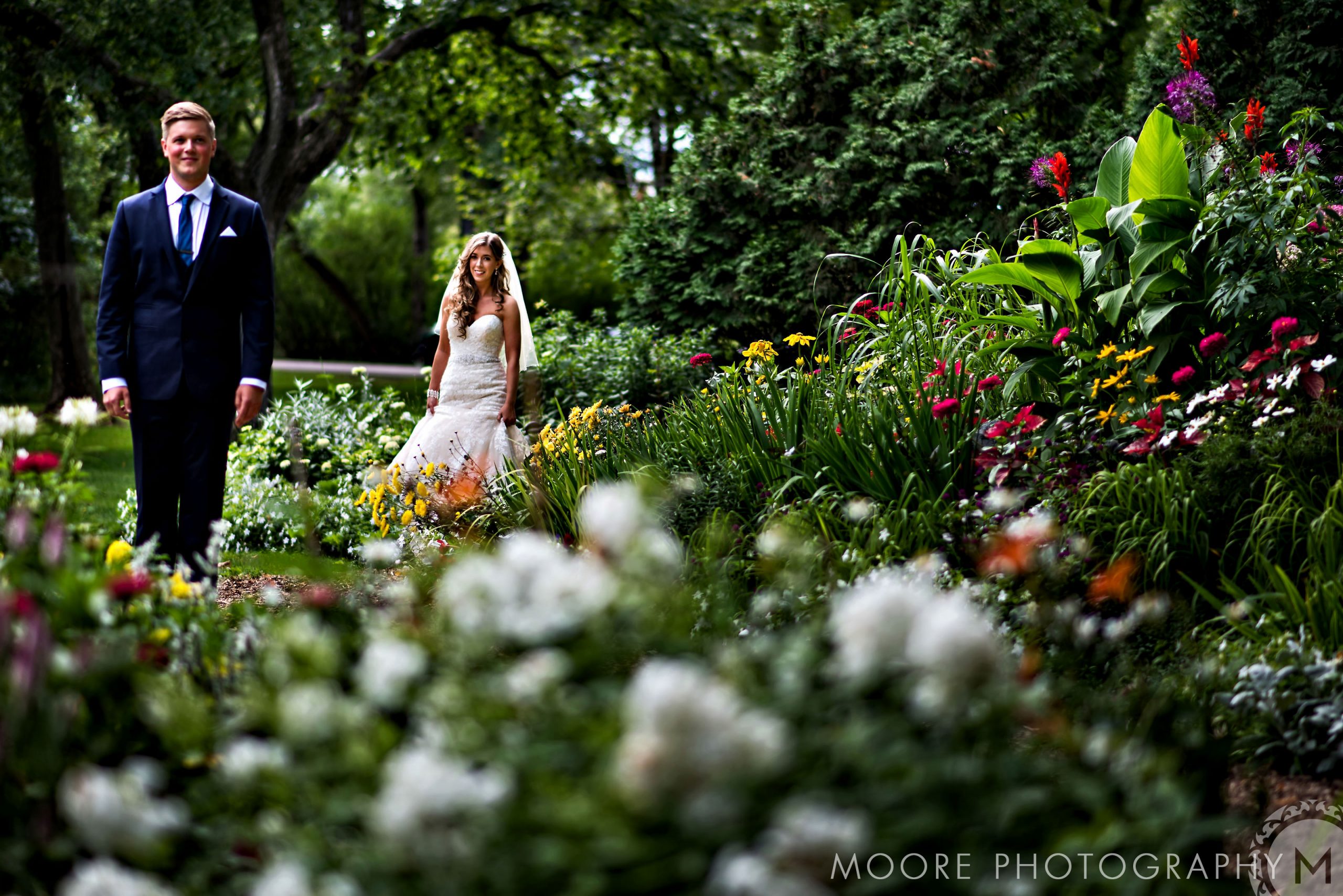Flower - Floristry