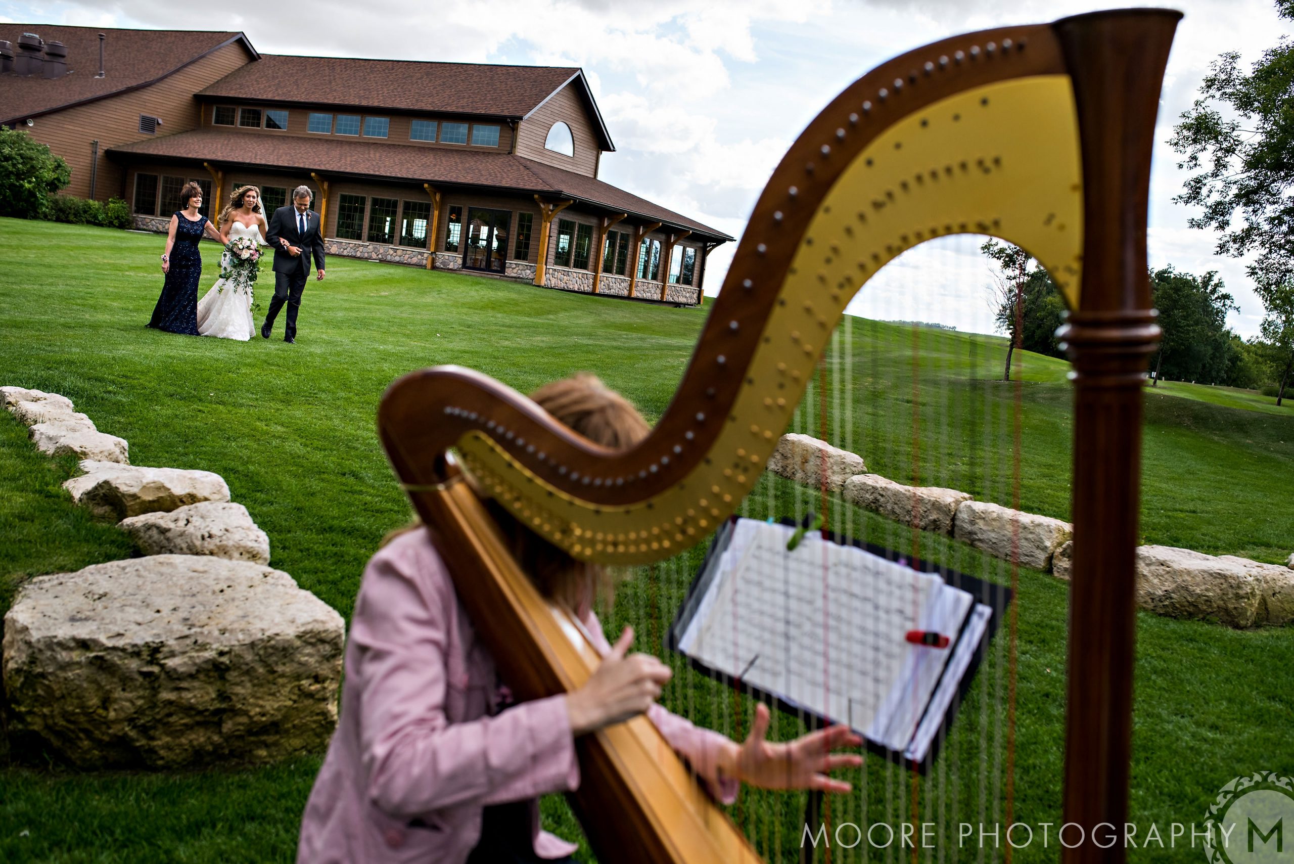 Harp - Celtic harp
