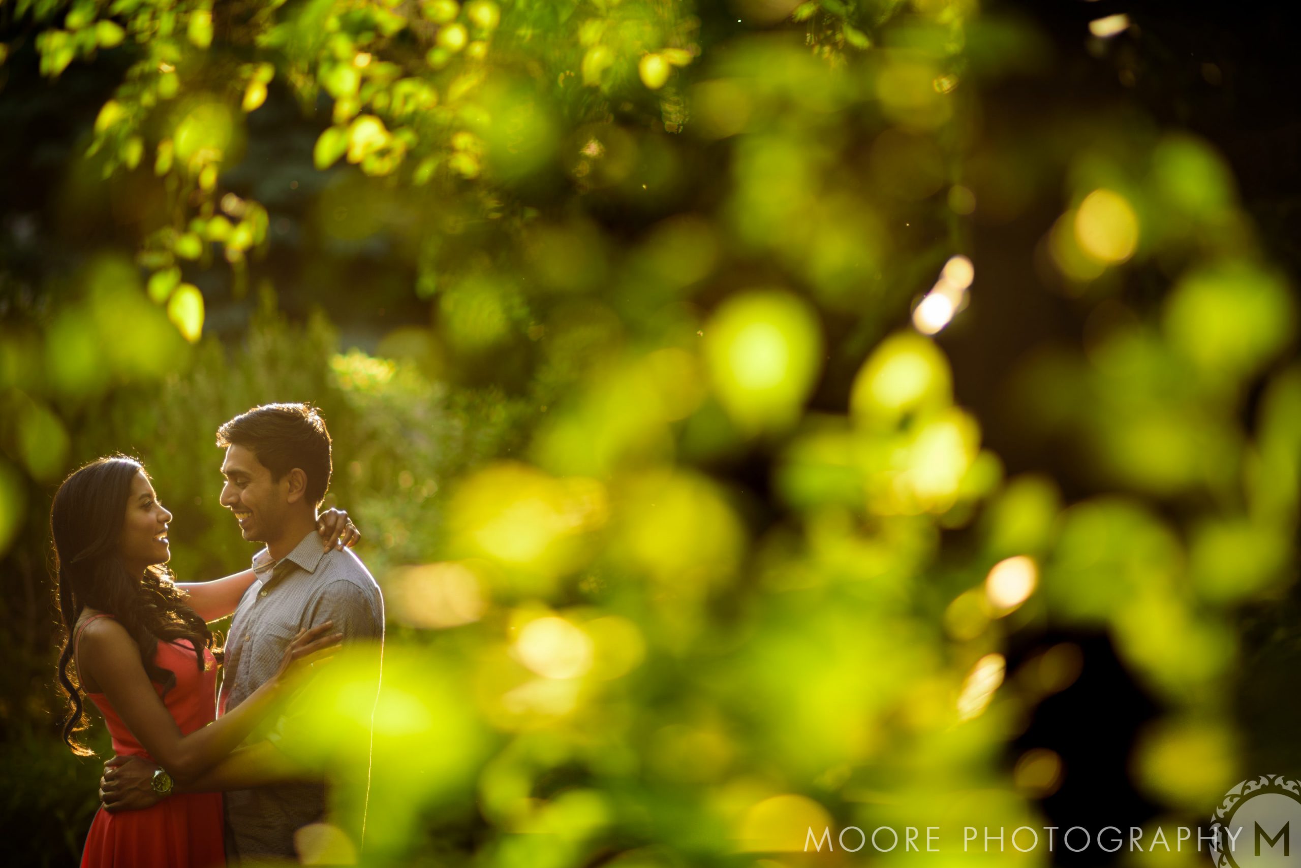 Photograph - Happiness