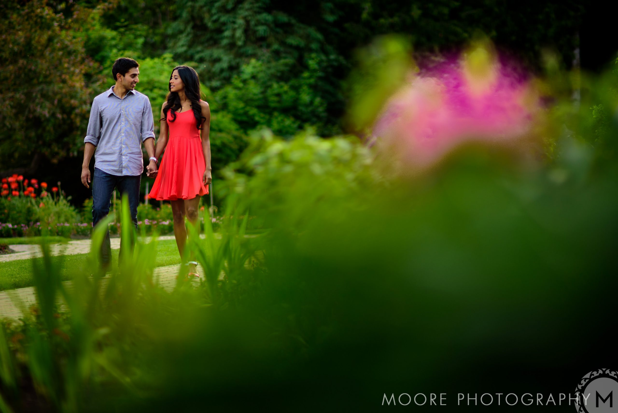 Photograph - Wallpaper