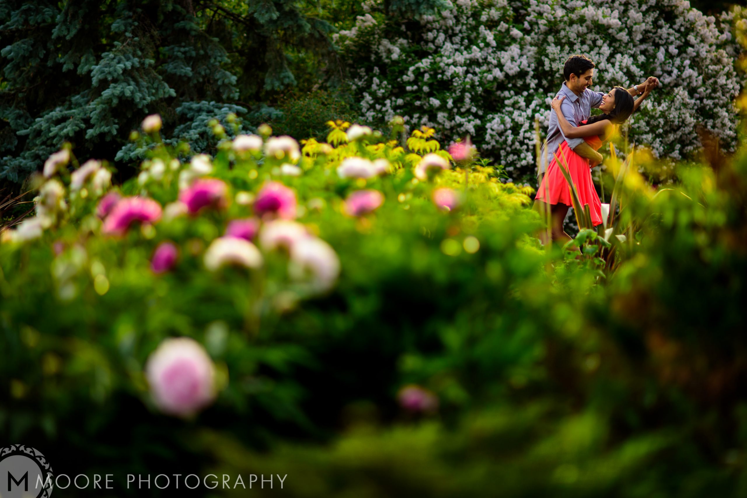 Flowering plant - Botanical garden