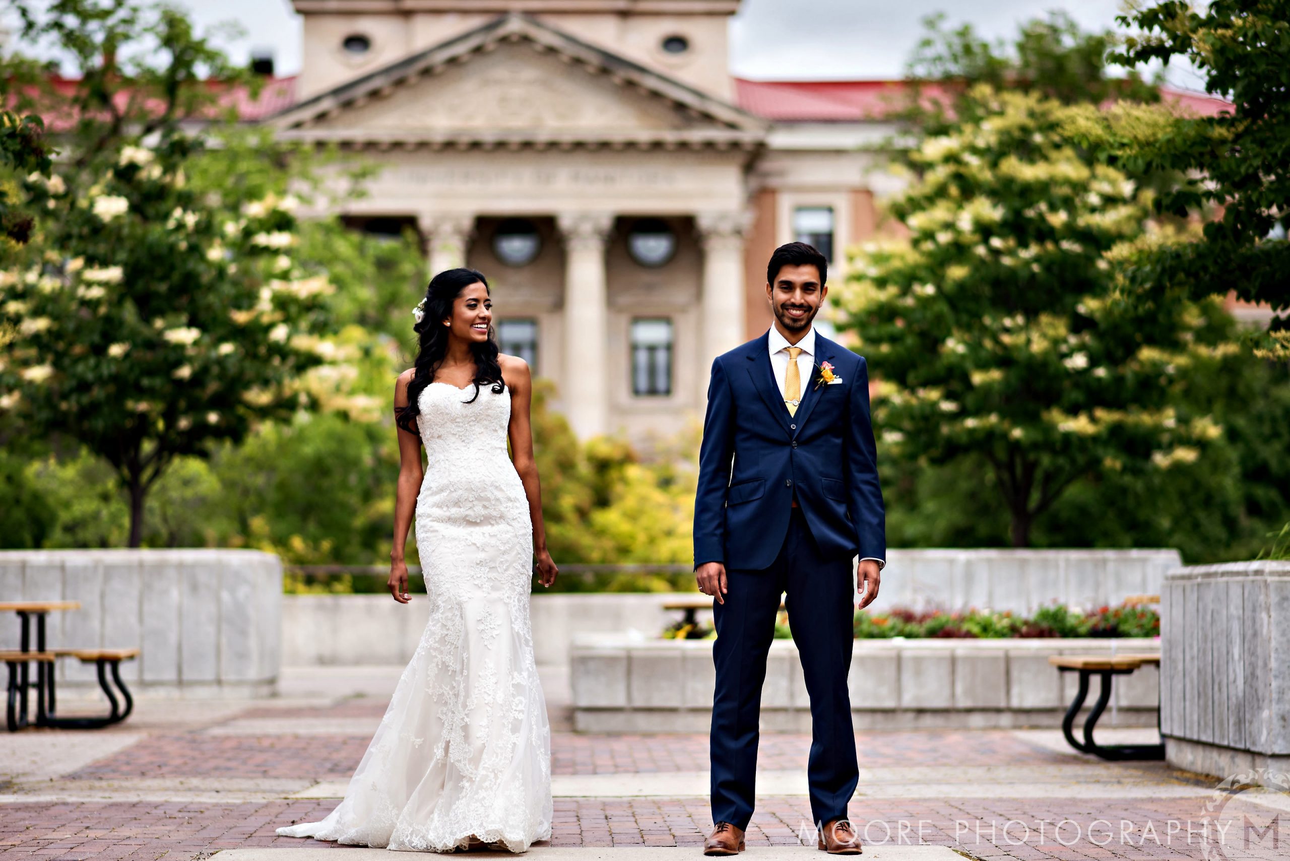 Wedding - Wedding Dress