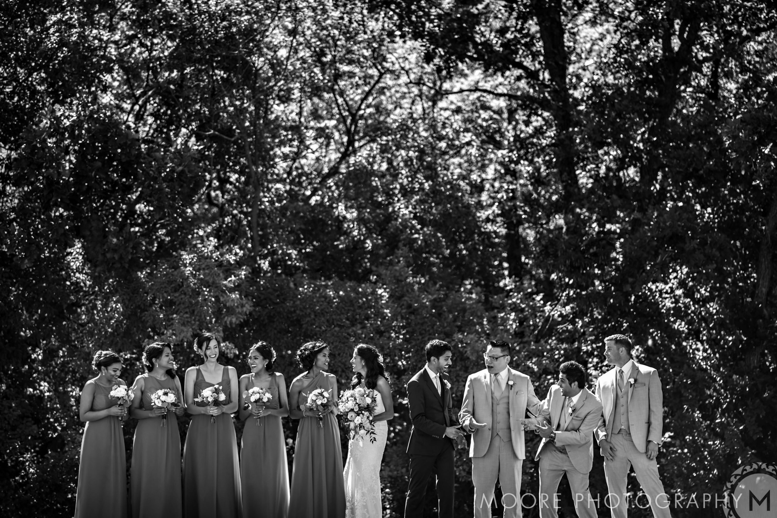 Black and white - Photograph