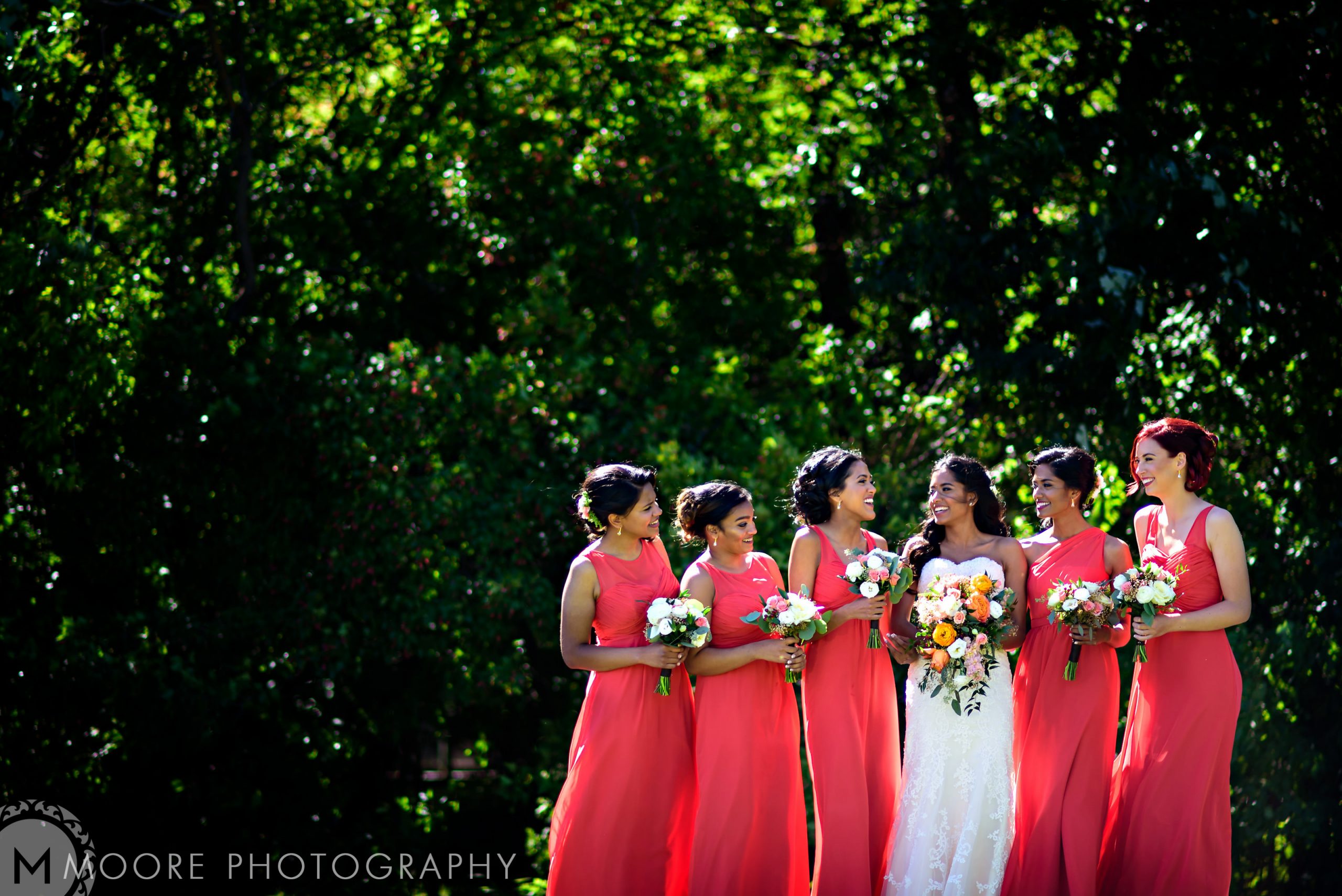 Wedding - Photograph