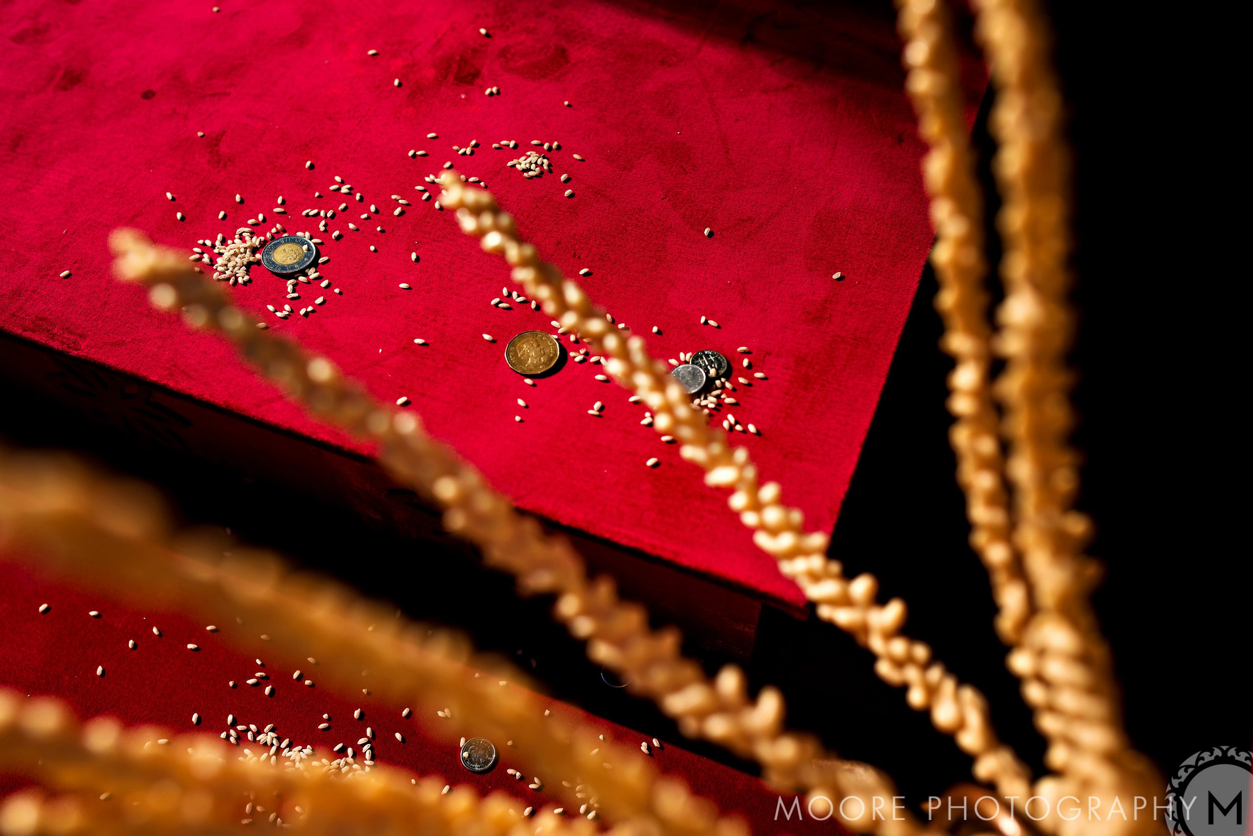 Wedding - Wedding photography